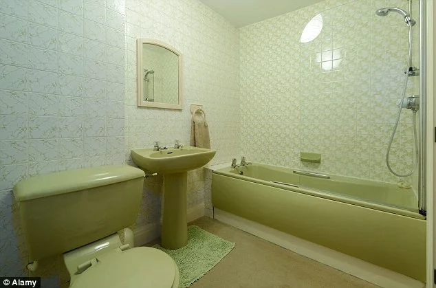 Yes the tiles date the space, but the pistachio coloured suite isnt helping. Image Source - dailymail.co.uk