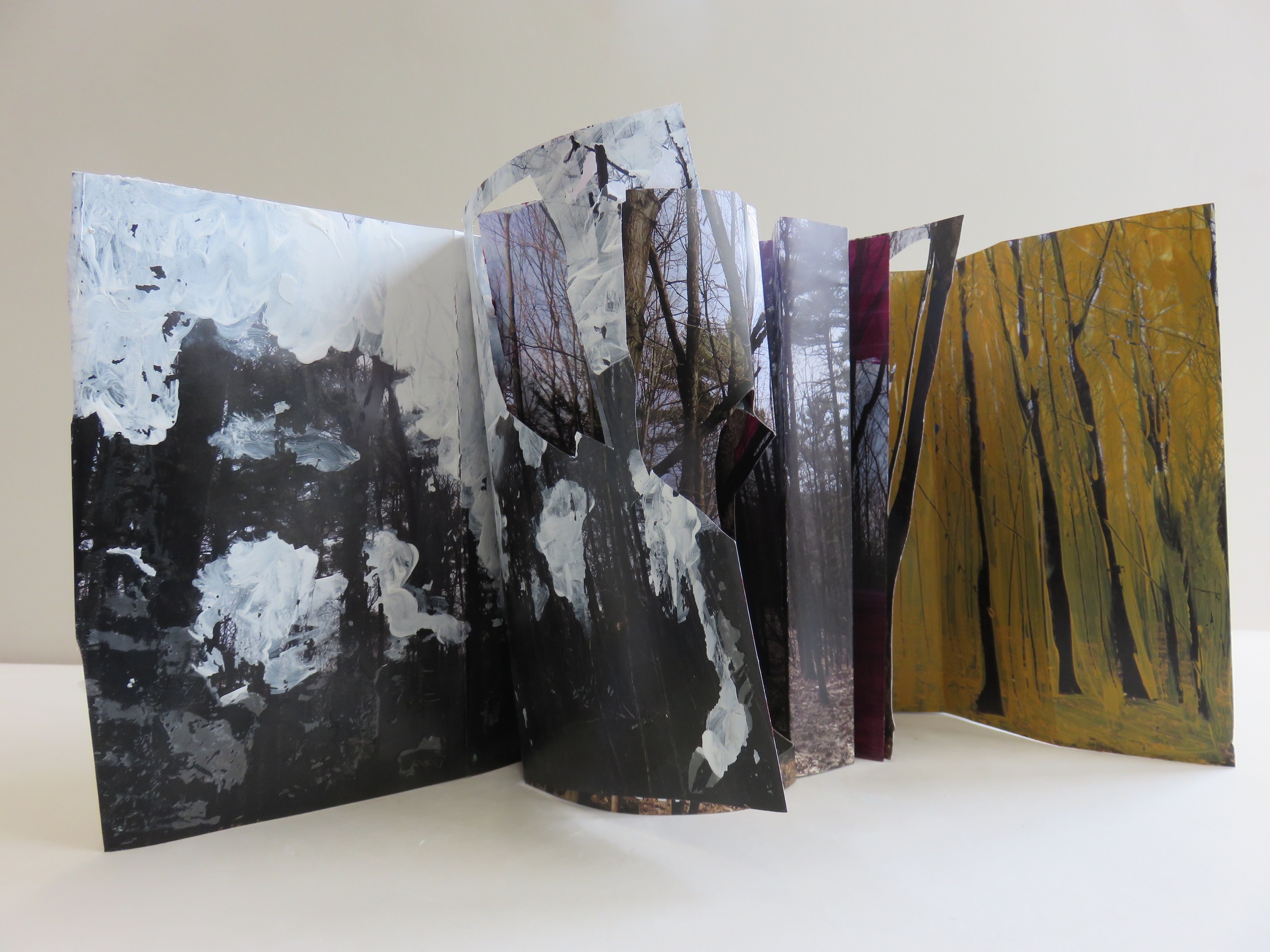 Tree Line#1 2015 acrylic on digital photograph, folded and bound 6Tx7Wx15L