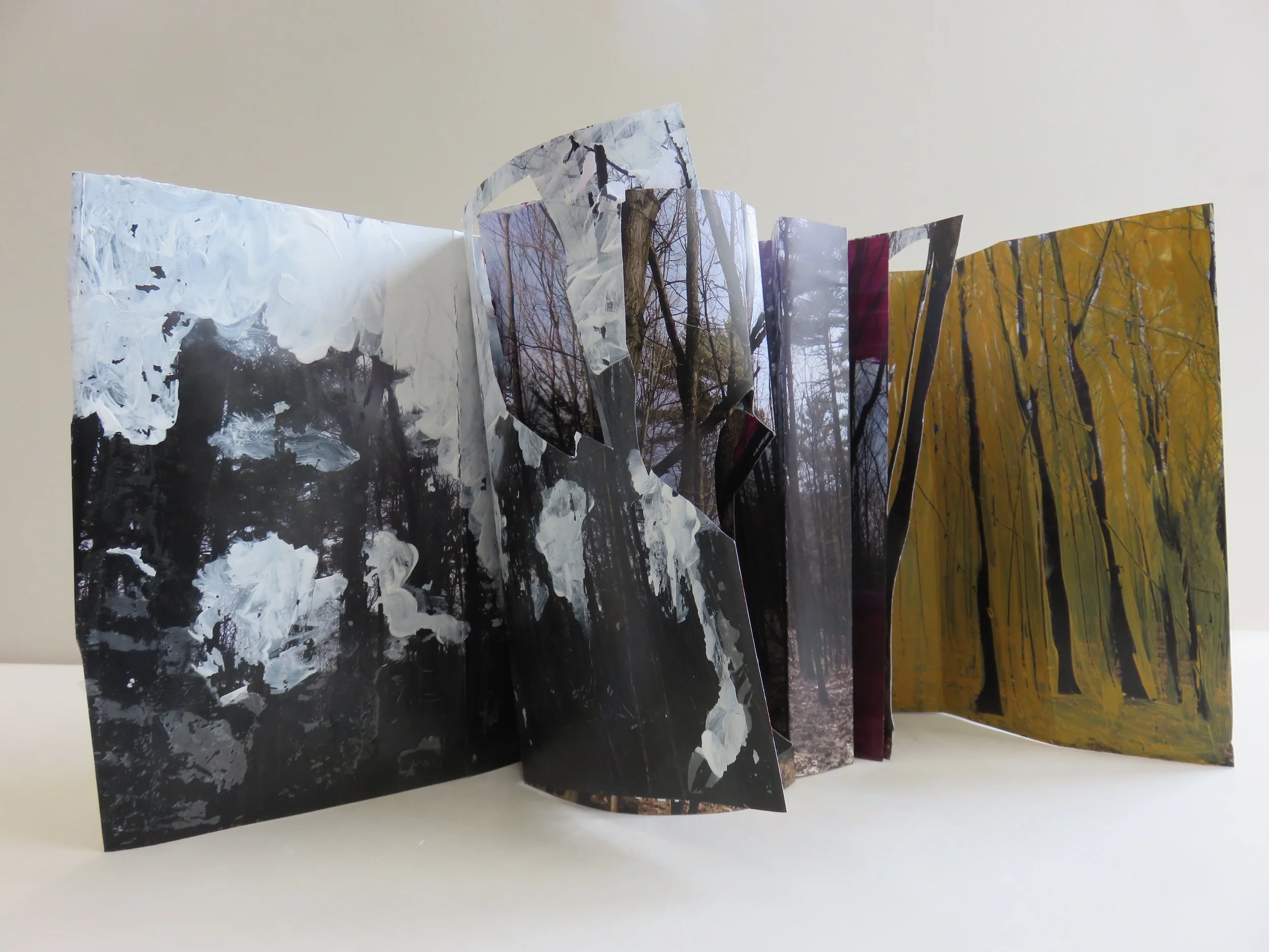 Tree Line#1 2015 acrylic on digital photograph,&nbsp;folded and bound 6Tx7Wx15L