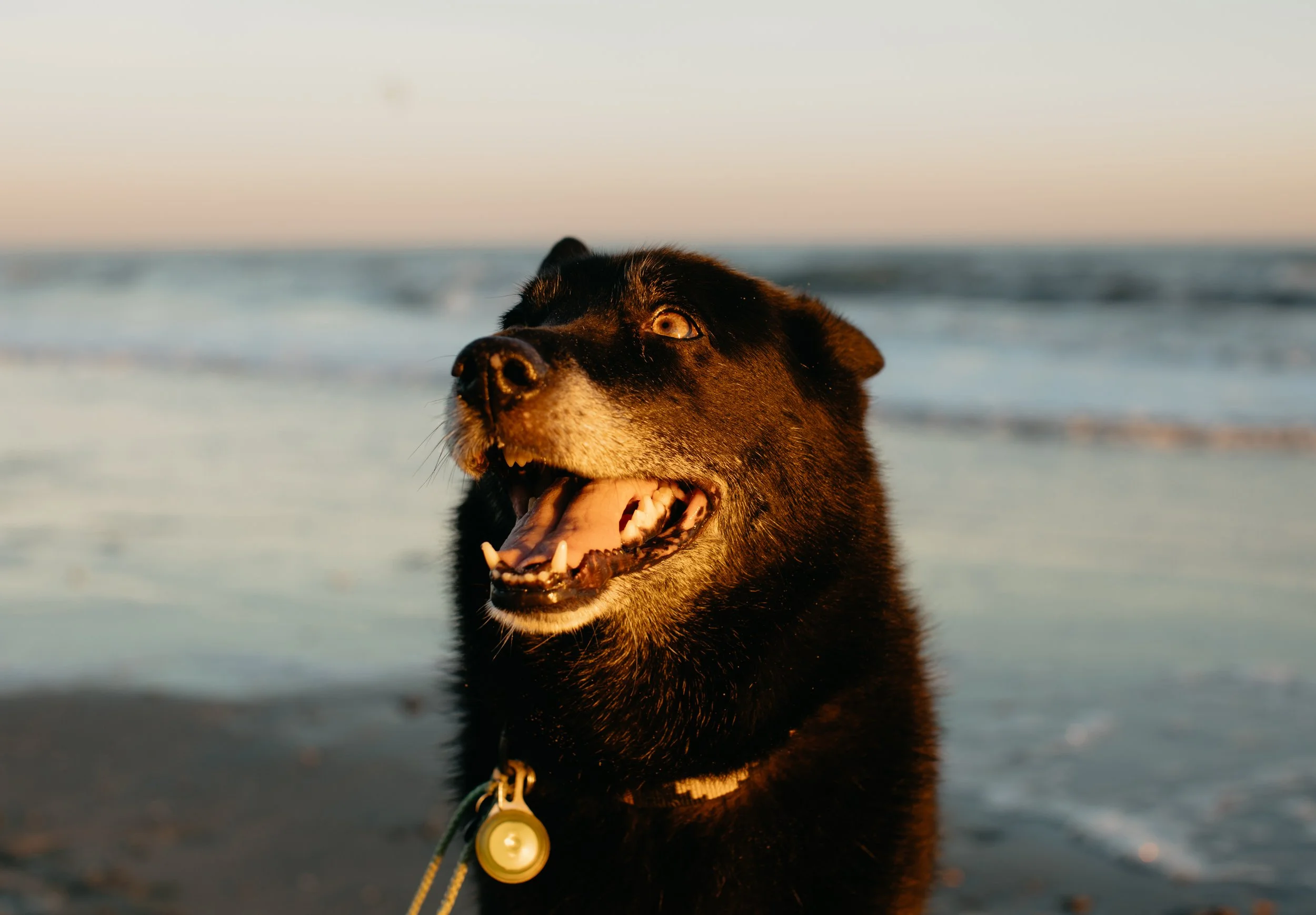 FolleyBeach+Dec2021-053.jpg