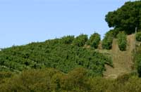 Valley View
