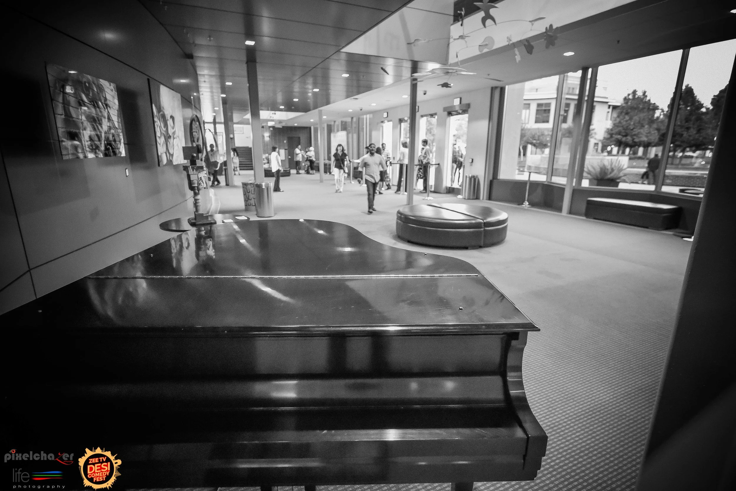 SAC_6893.jpg