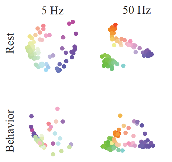 MDSRestBehavior_smaller.png