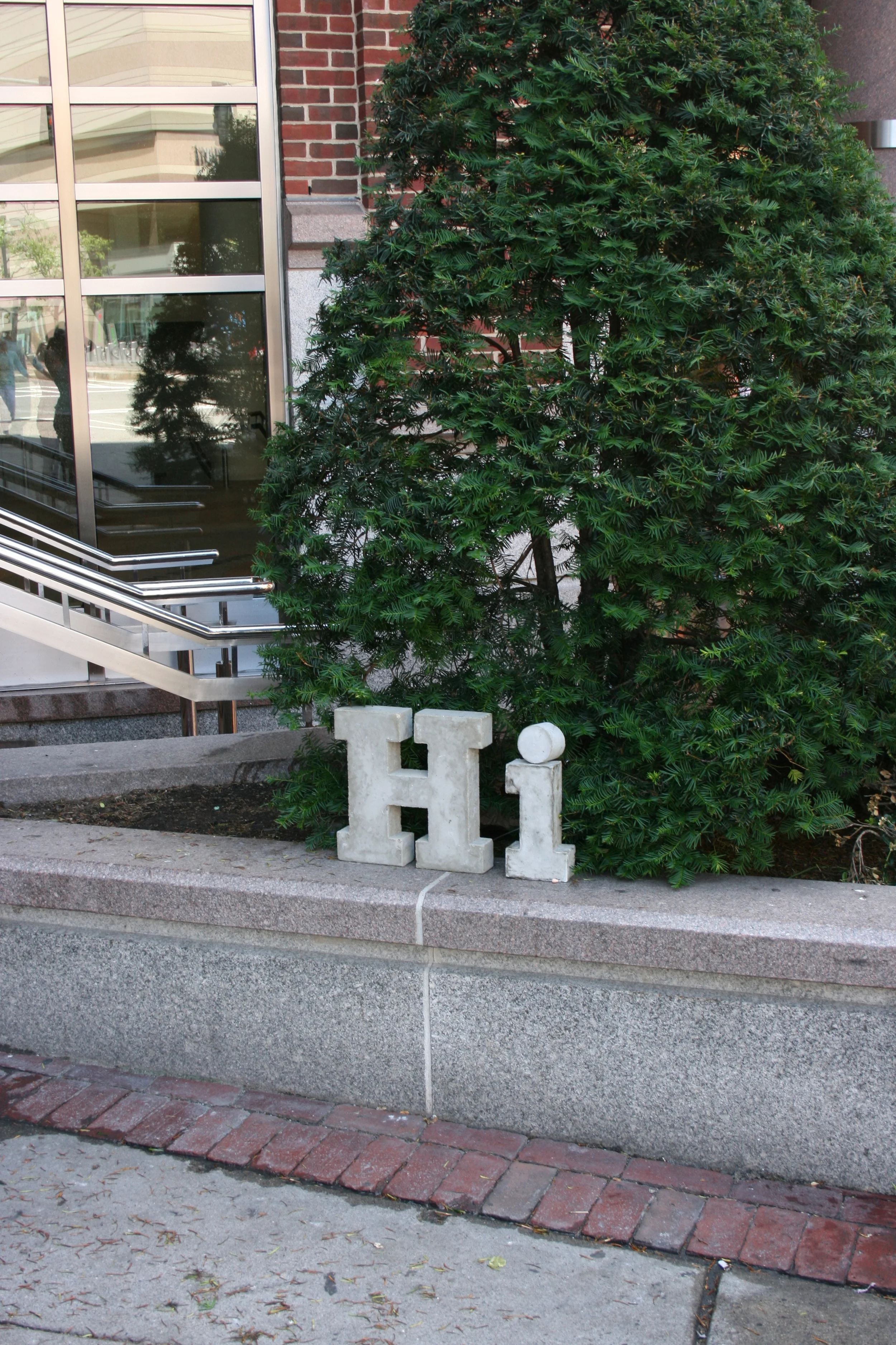 IMG_4903.jpg