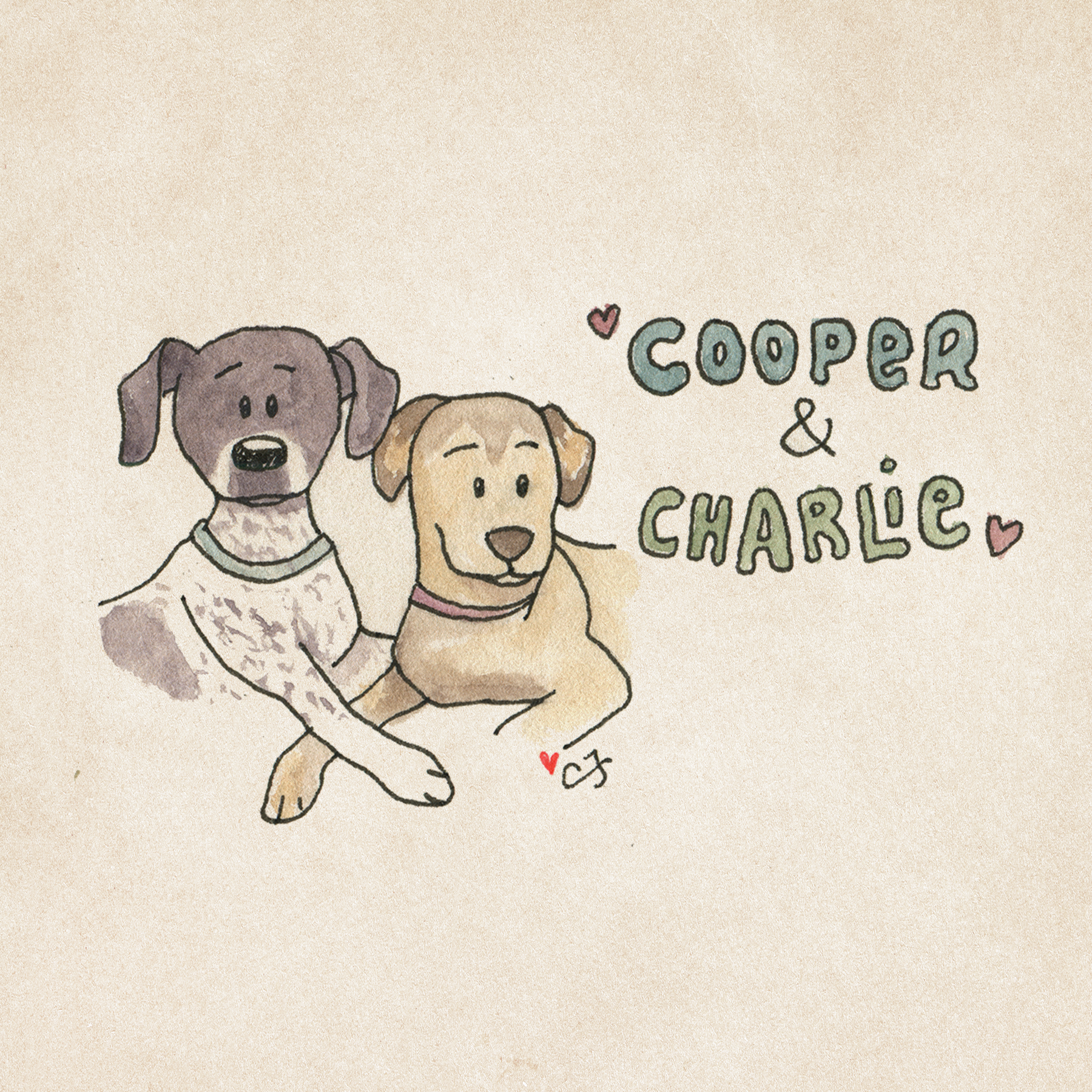 3_COOPER_CHARLIE.png