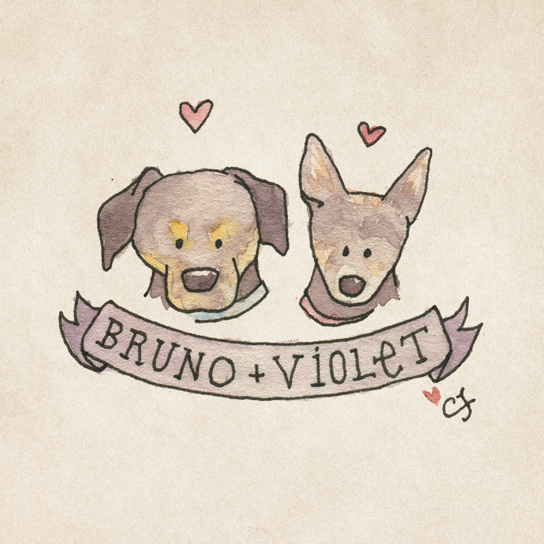 5_BRUNO_VIOLET.png