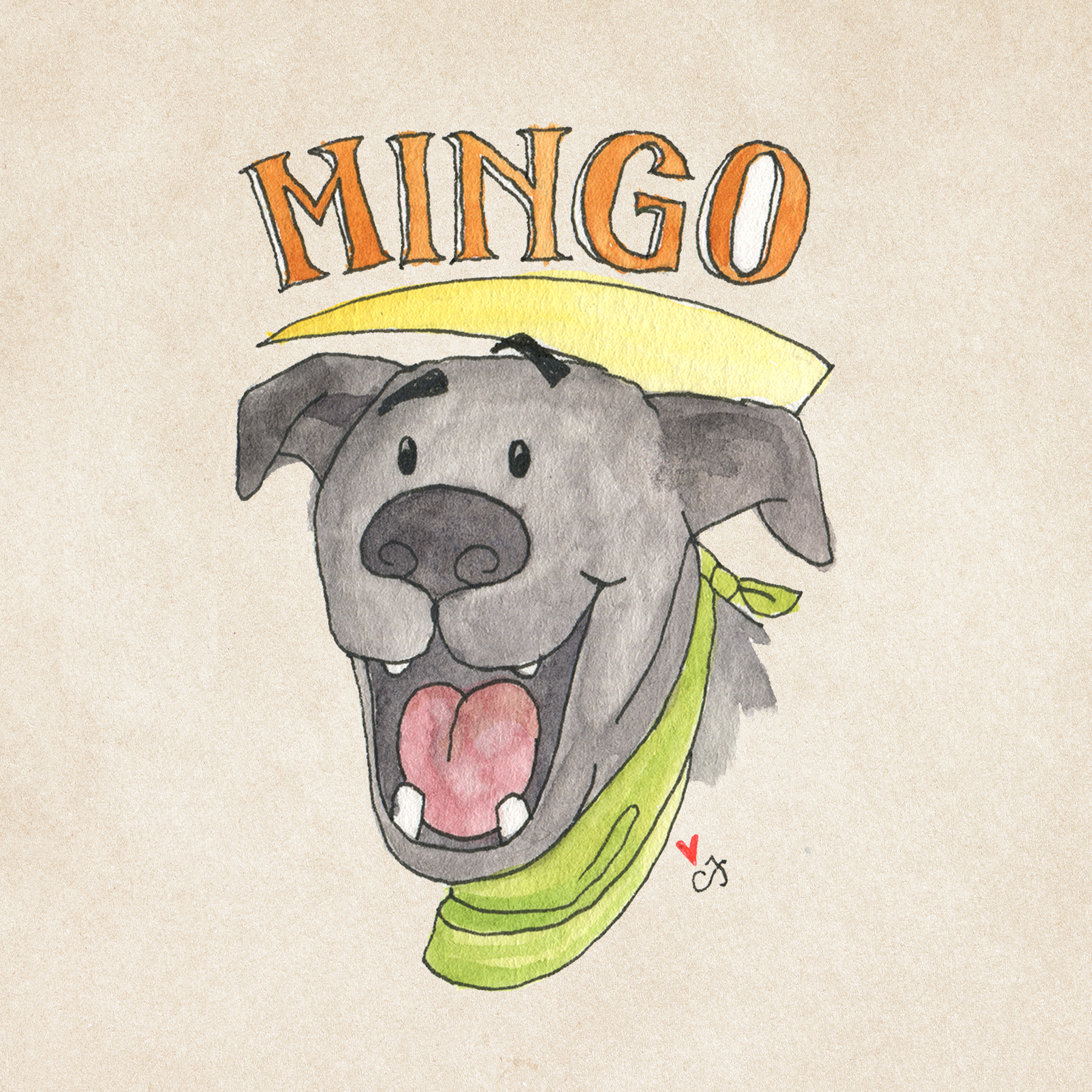 6_MINGO.png