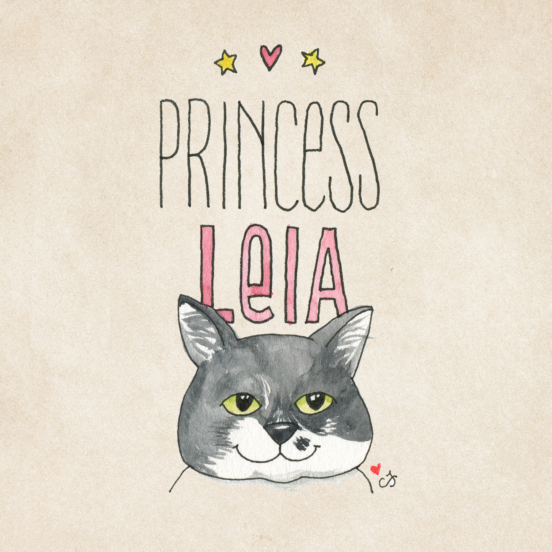16_LEIA.png