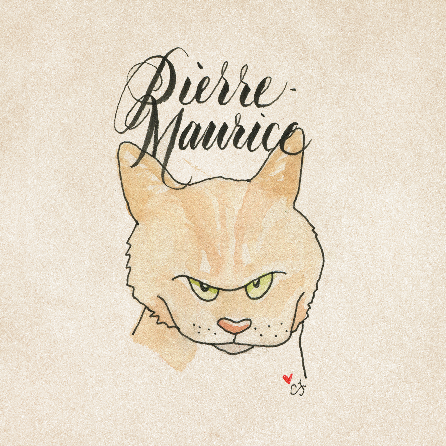 19_PIERRE.png