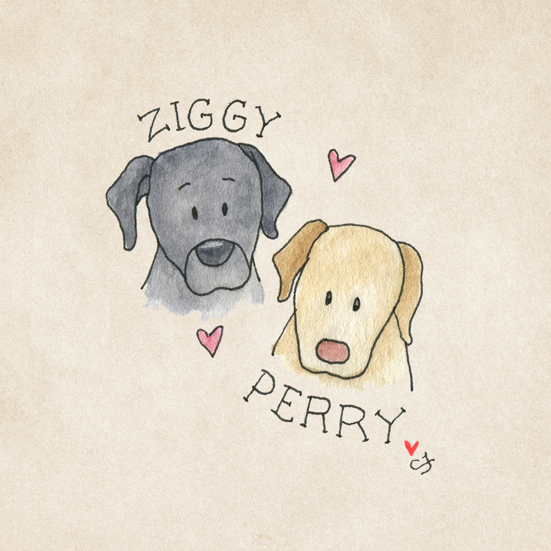 20_ZIGGY_PERRY.png