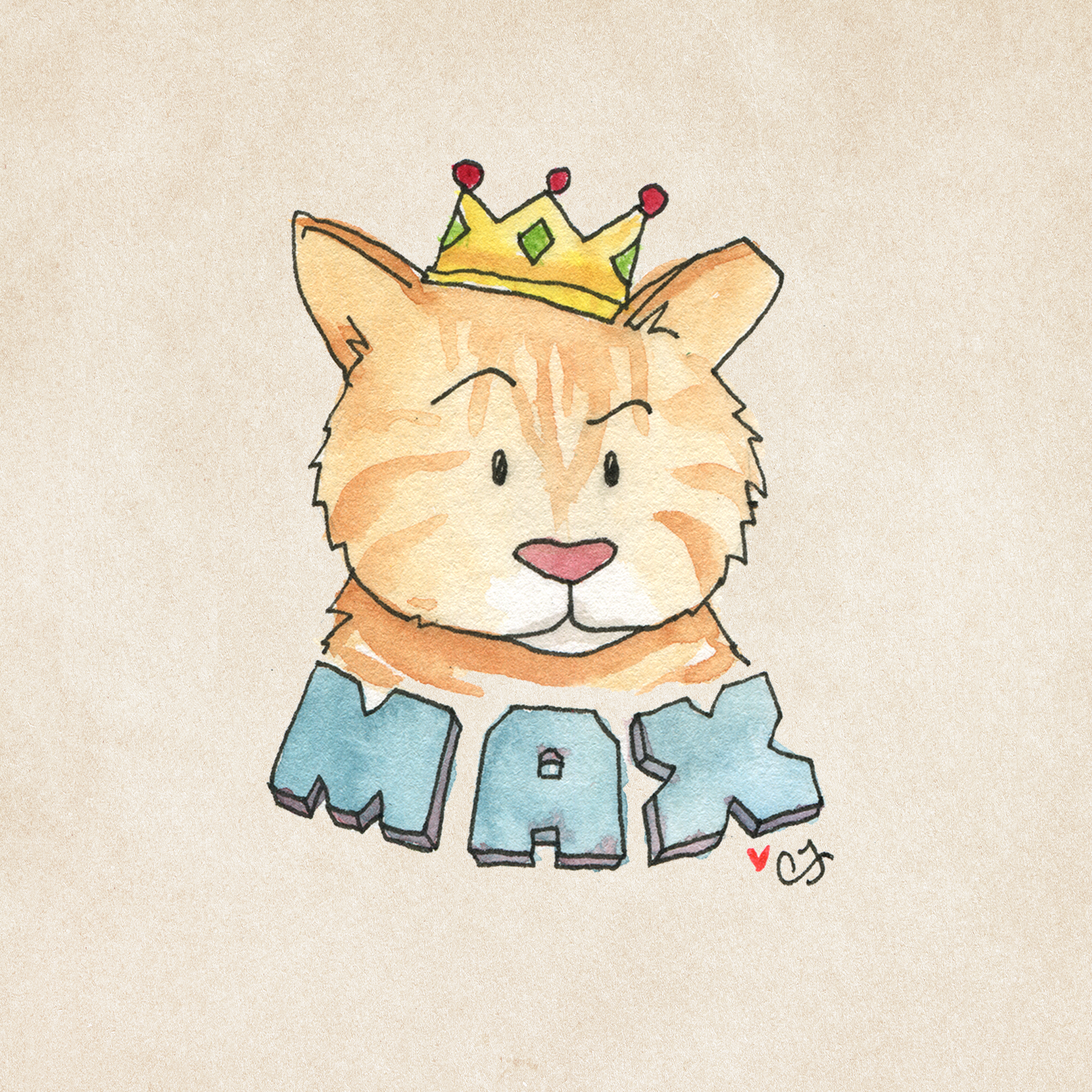25_MAX.png