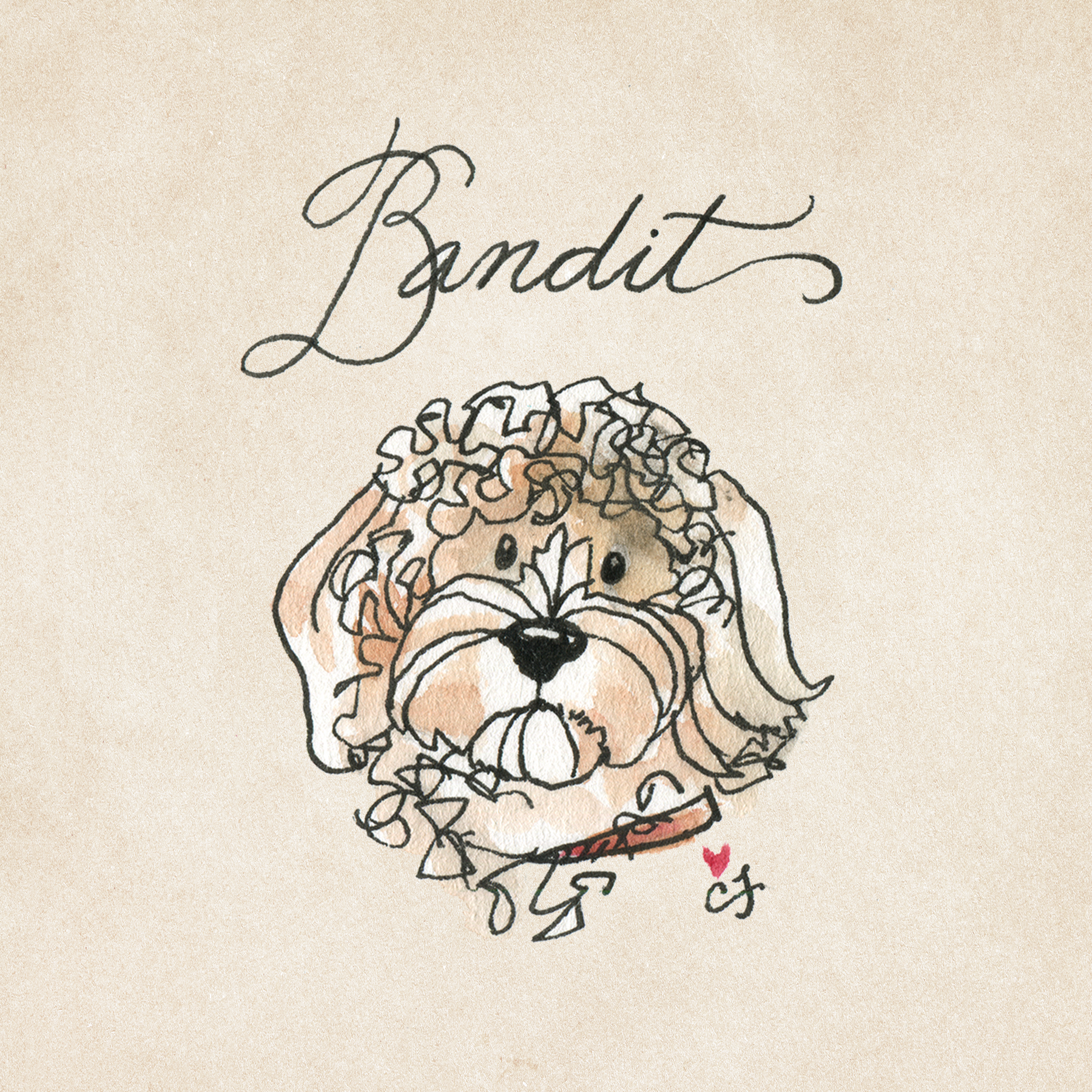 BANDIT.png