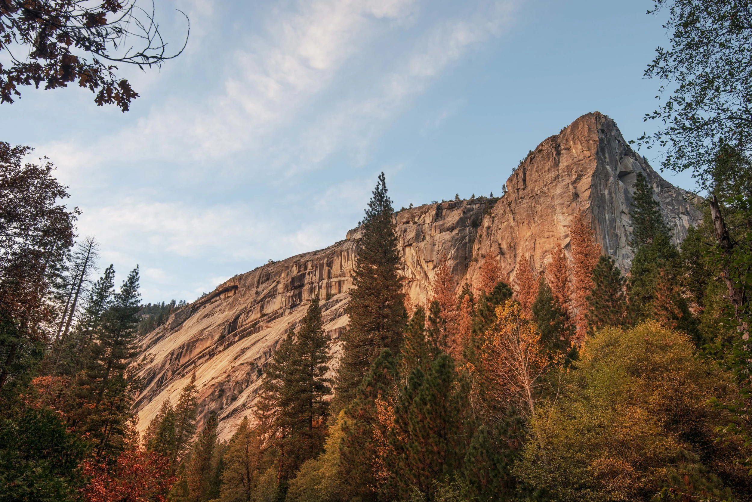 DSC_9854-Edit.JPG