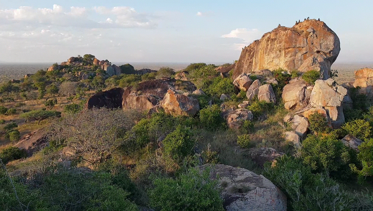 Art of Adventure - Tsavo region, KENYA