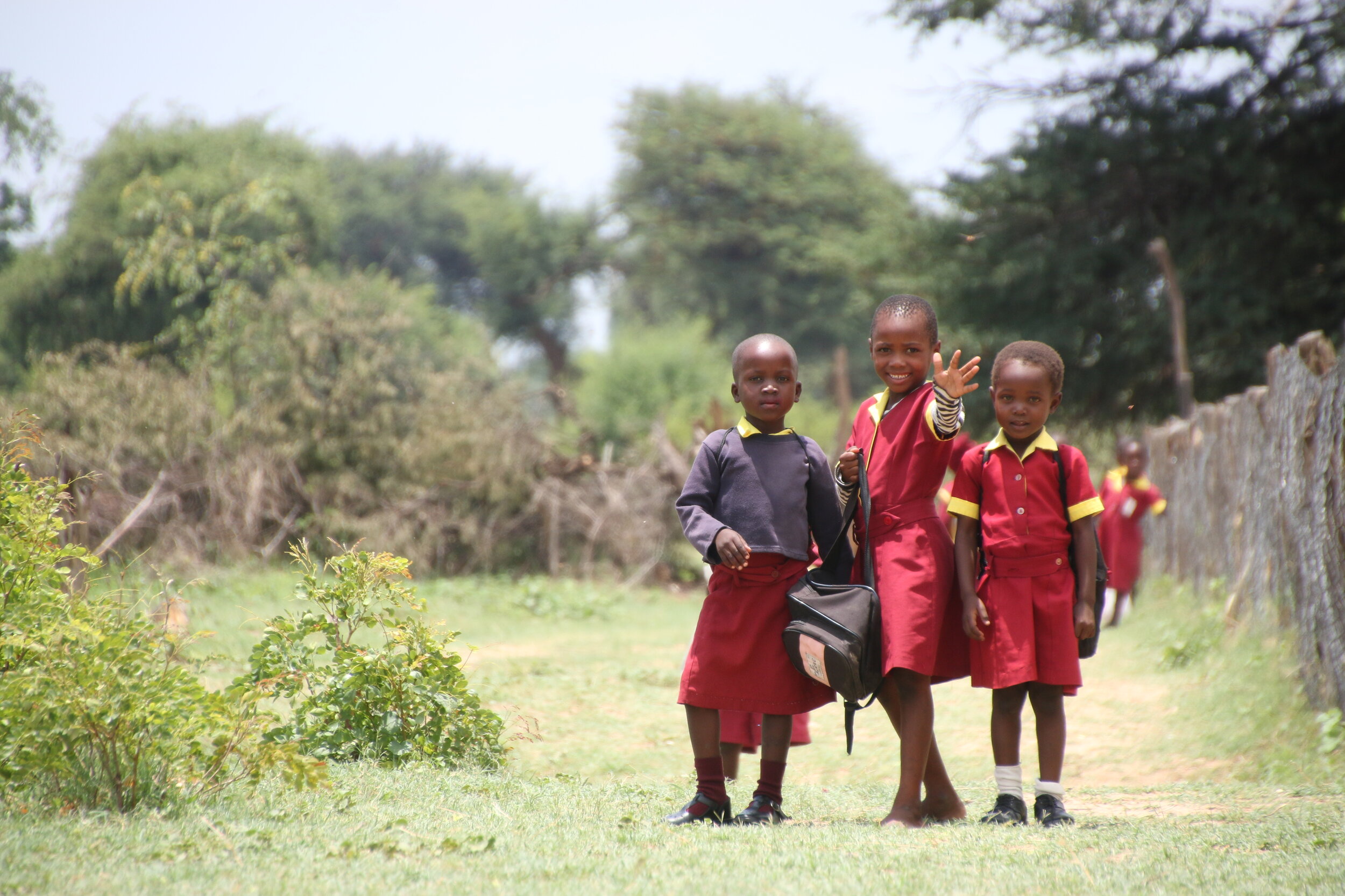 Living with Wildlife - ZIMBABWE