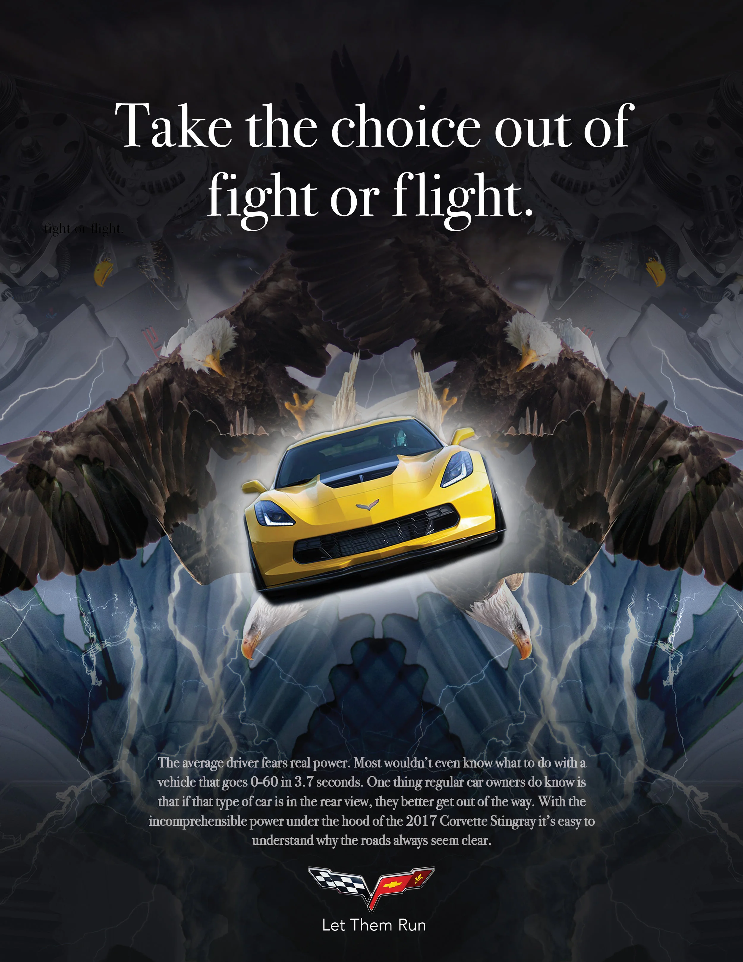 corvette AD2 R52.jpg