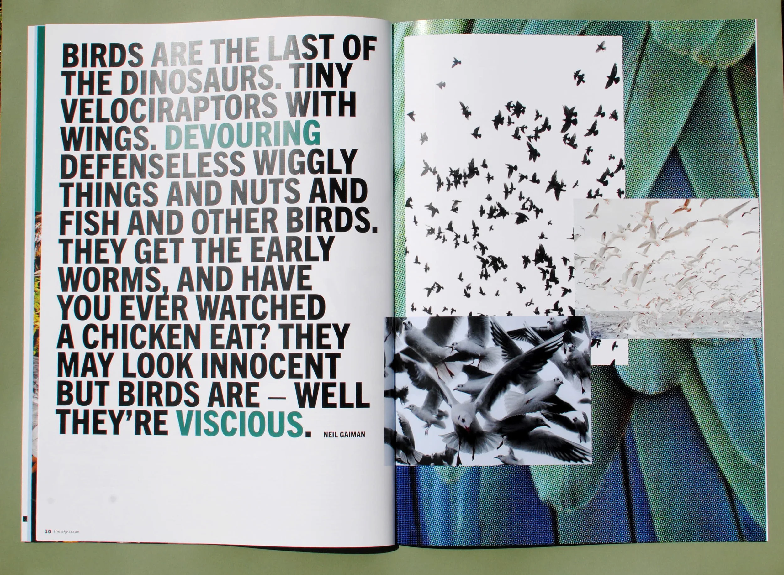 phobe spread 5.jpg