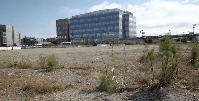 Saving San Francisco