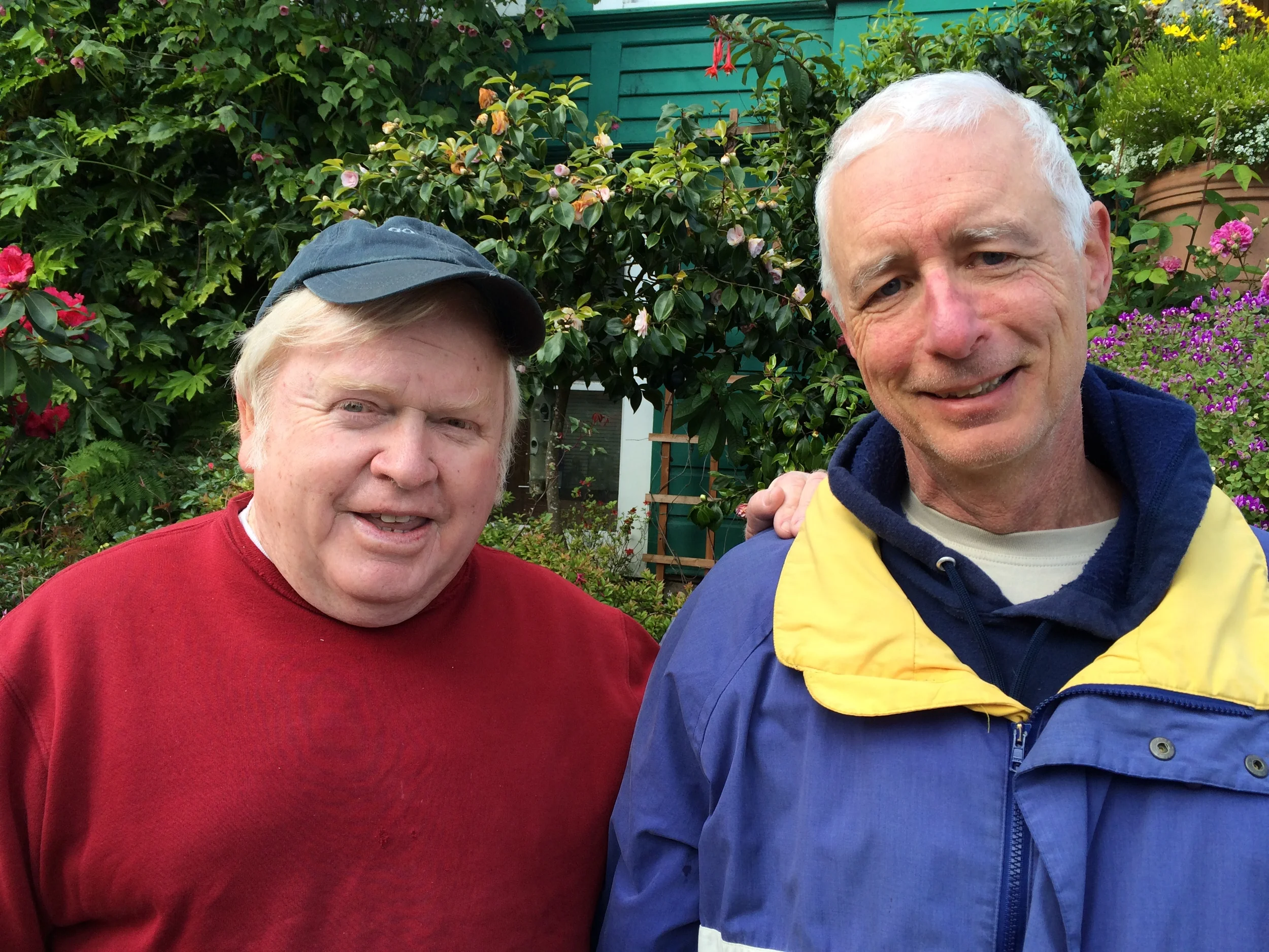 Local Politics and Beloved Muppets Reimagined