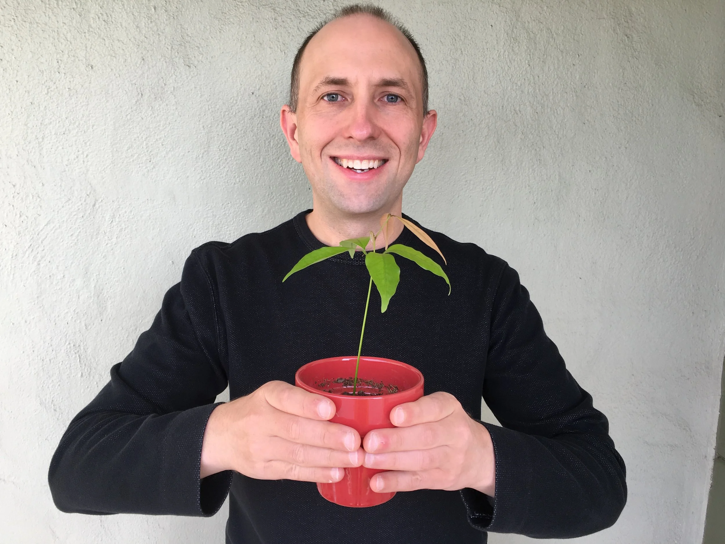 Second-Best Time for Tree Planting Is Now