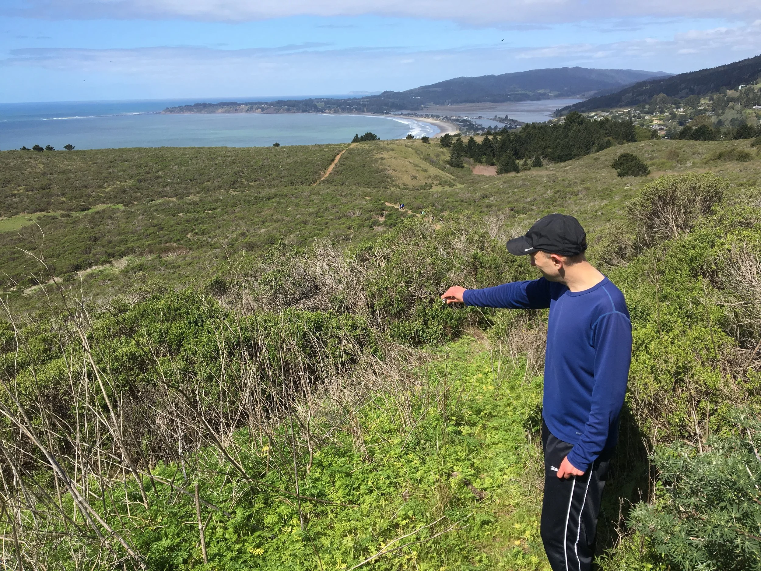 Stinson Beach, California