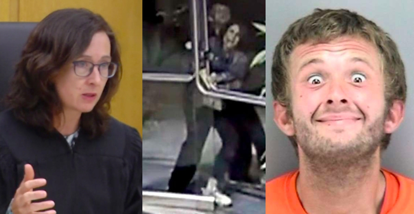 San Francisco Superior Court Judge Judge Christine Van Aken, security video footage of Paneez Kosarian being attacked and suspect Austin James Vincent.