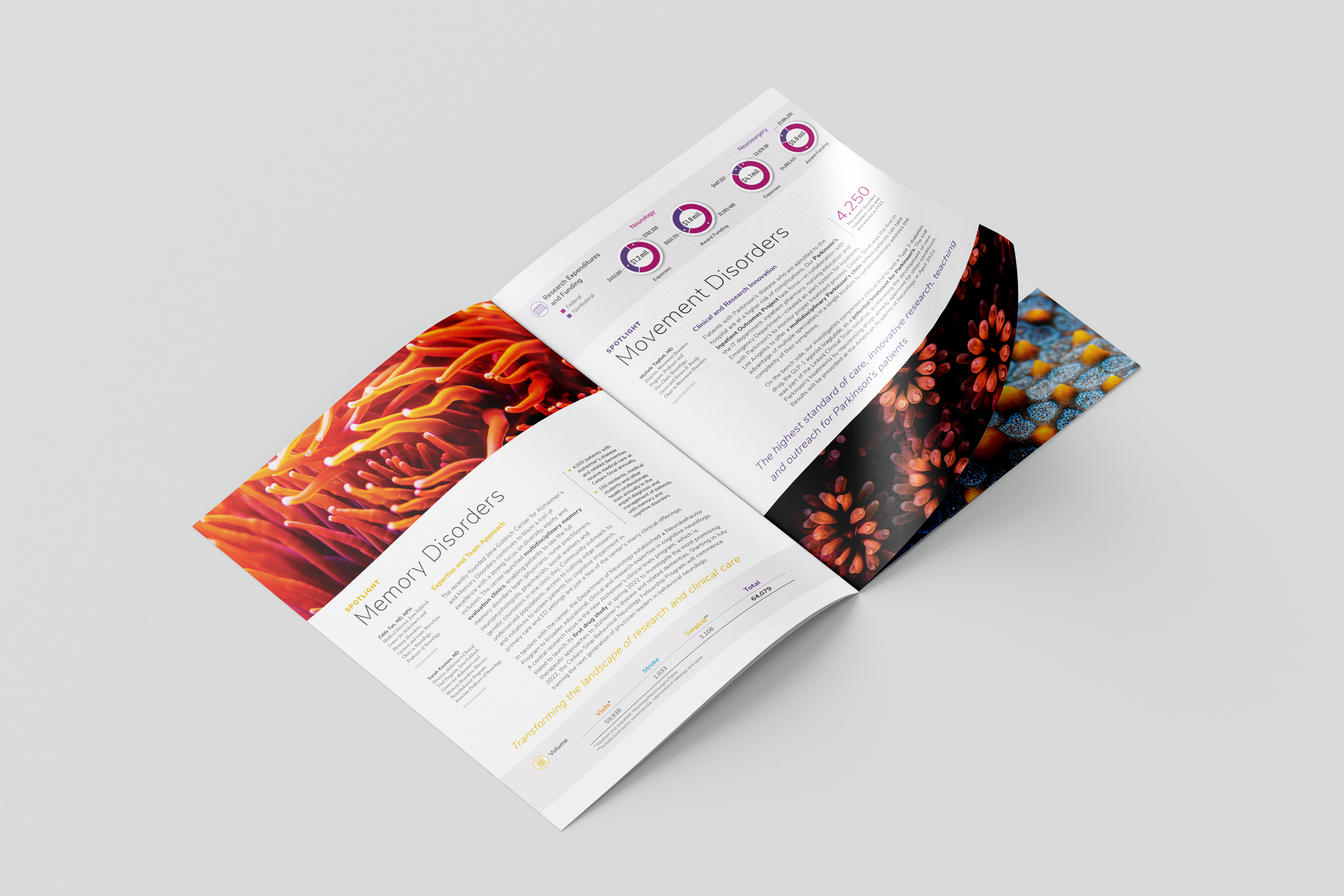 CSNeuro_AnnualReport_SecondSpread.png