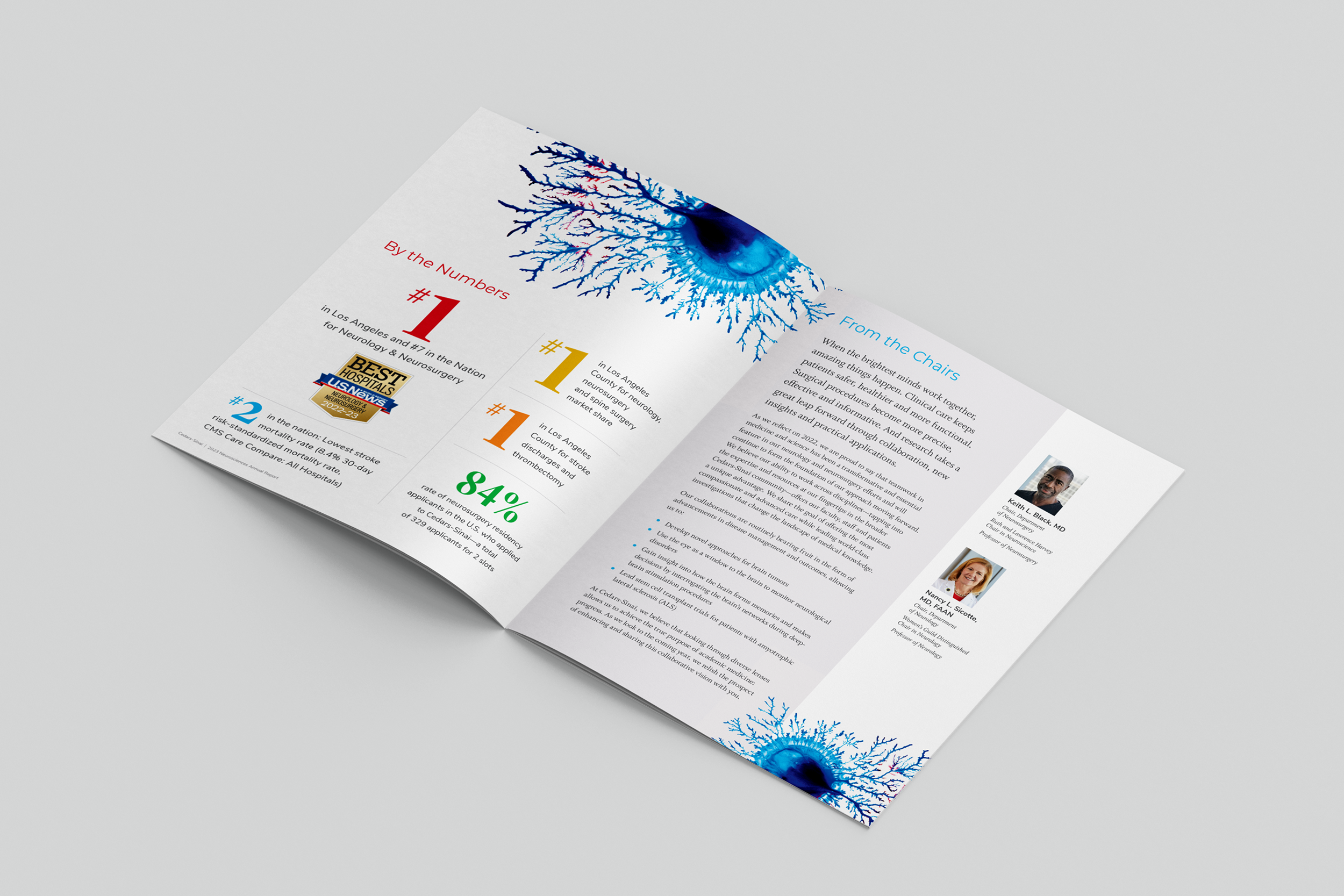 CSNeuro_AnnualReport_FirstSpread_FINAL.png