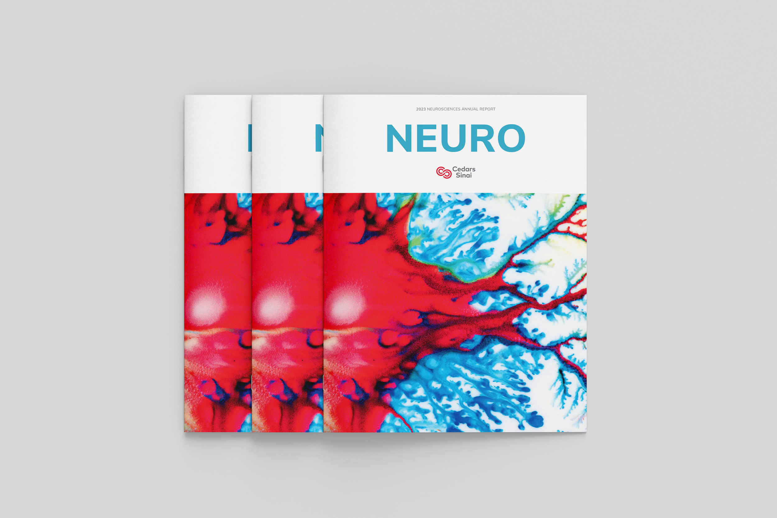 CSNeuro_AnnualReport_CVR2_FINAL.png