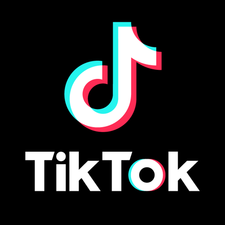 tiktok logo.png