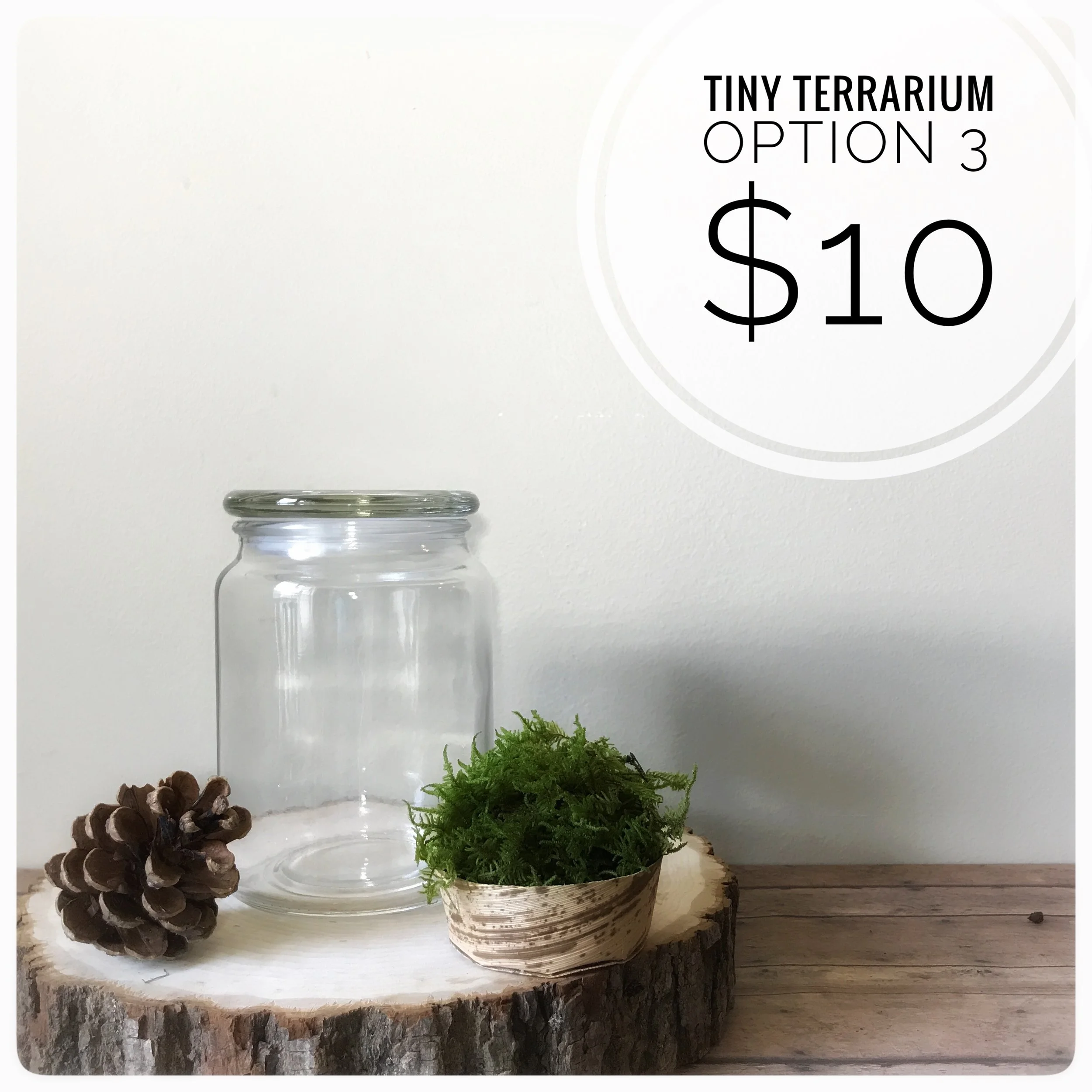 Includes live moss