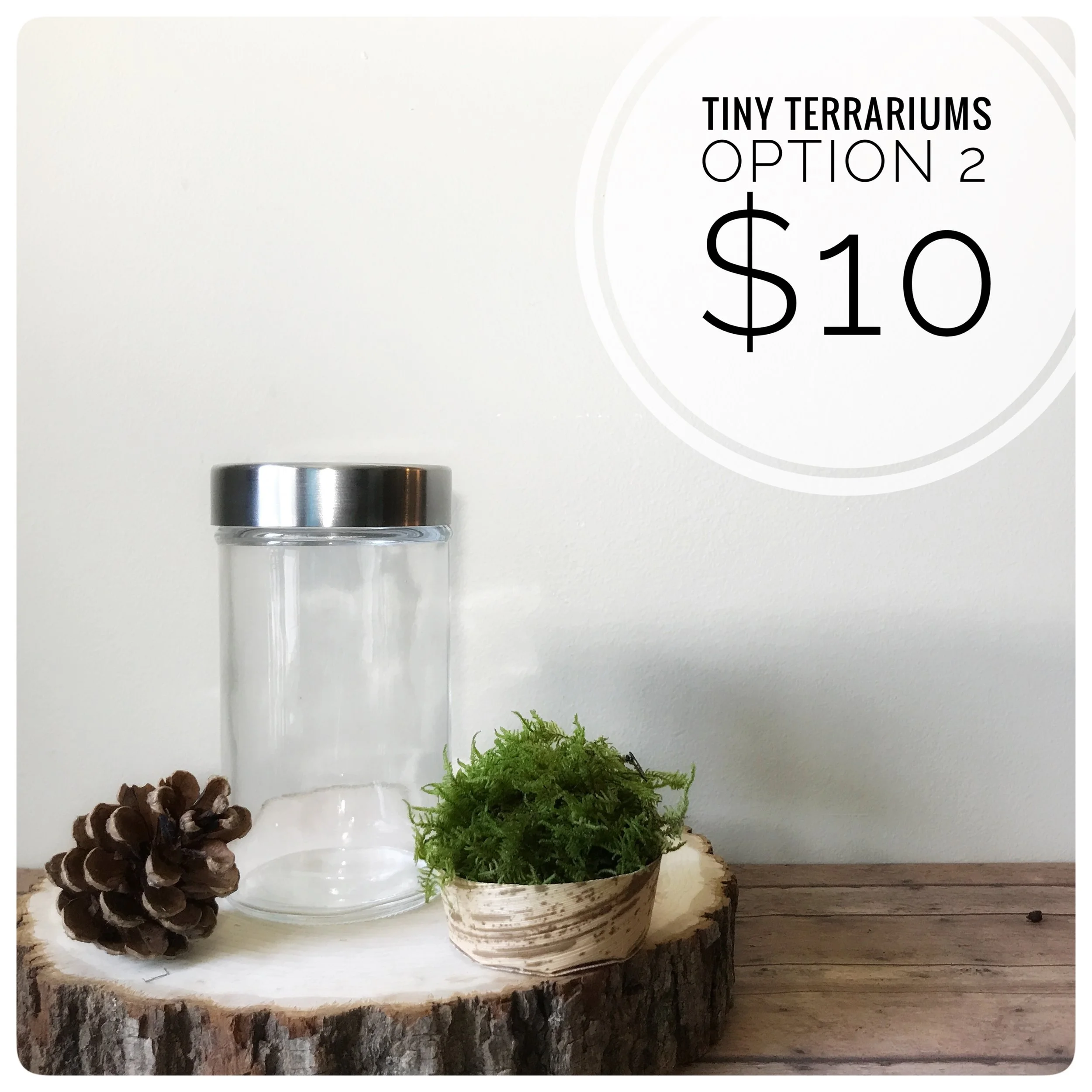 Includes live moss