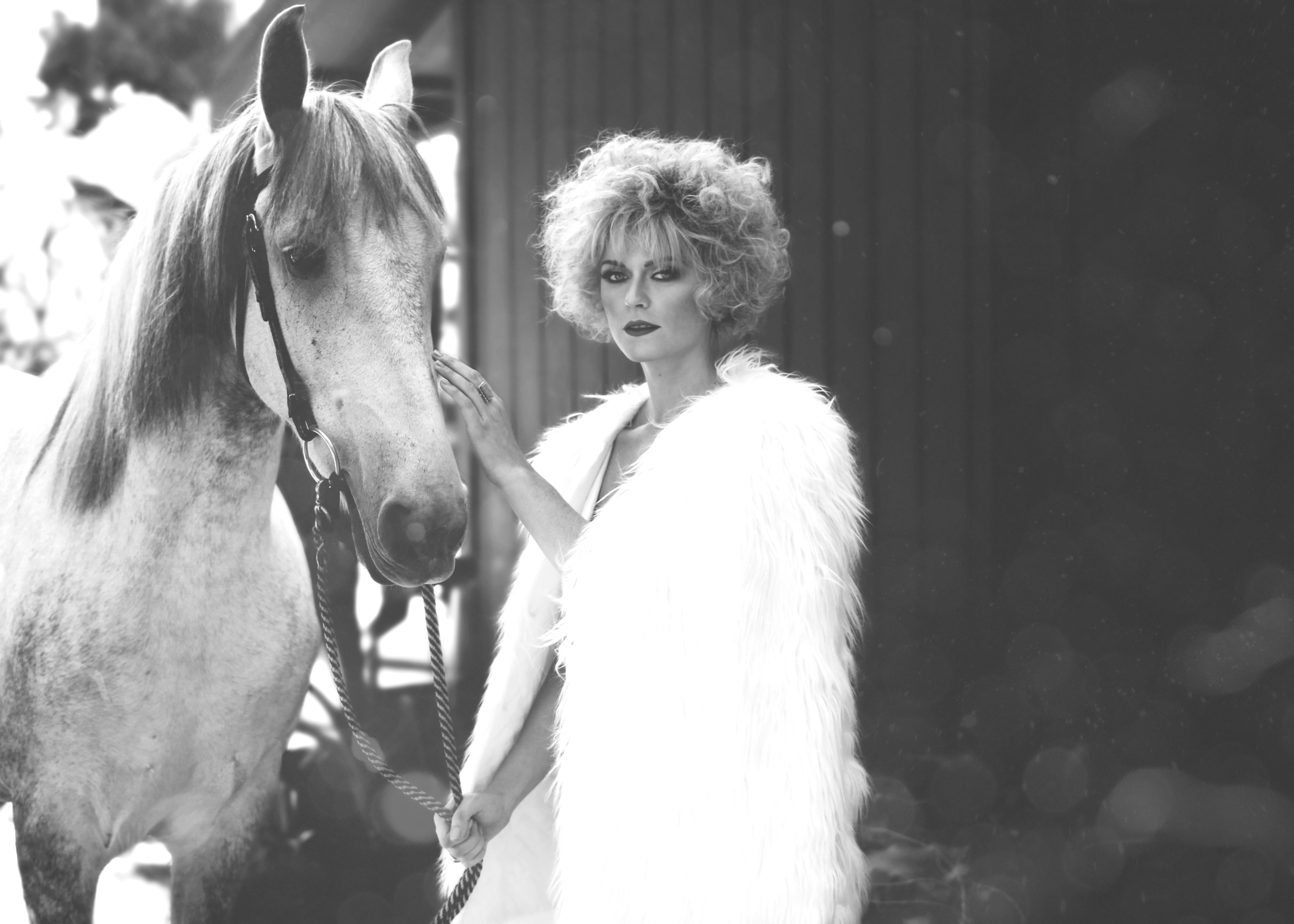 Paris&horse_B7Wdust (1).png