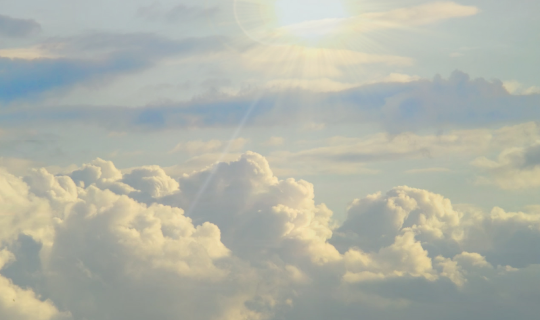 Screen Shot 2021-06-02 at 11.36.37 AM.png