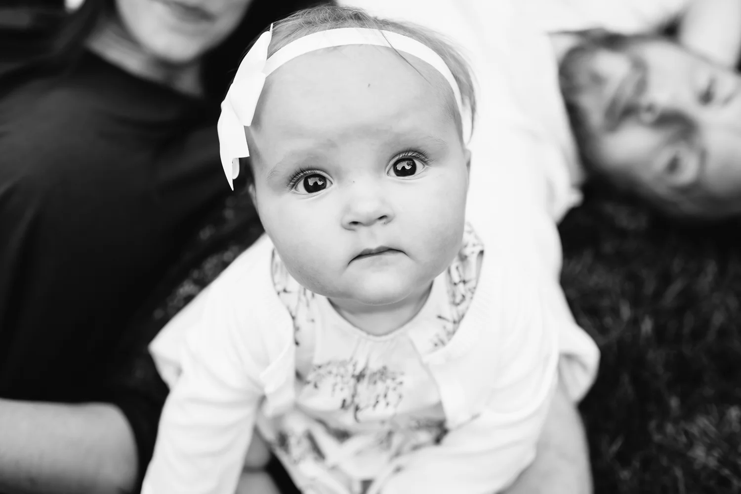 DSC_5264.jpg