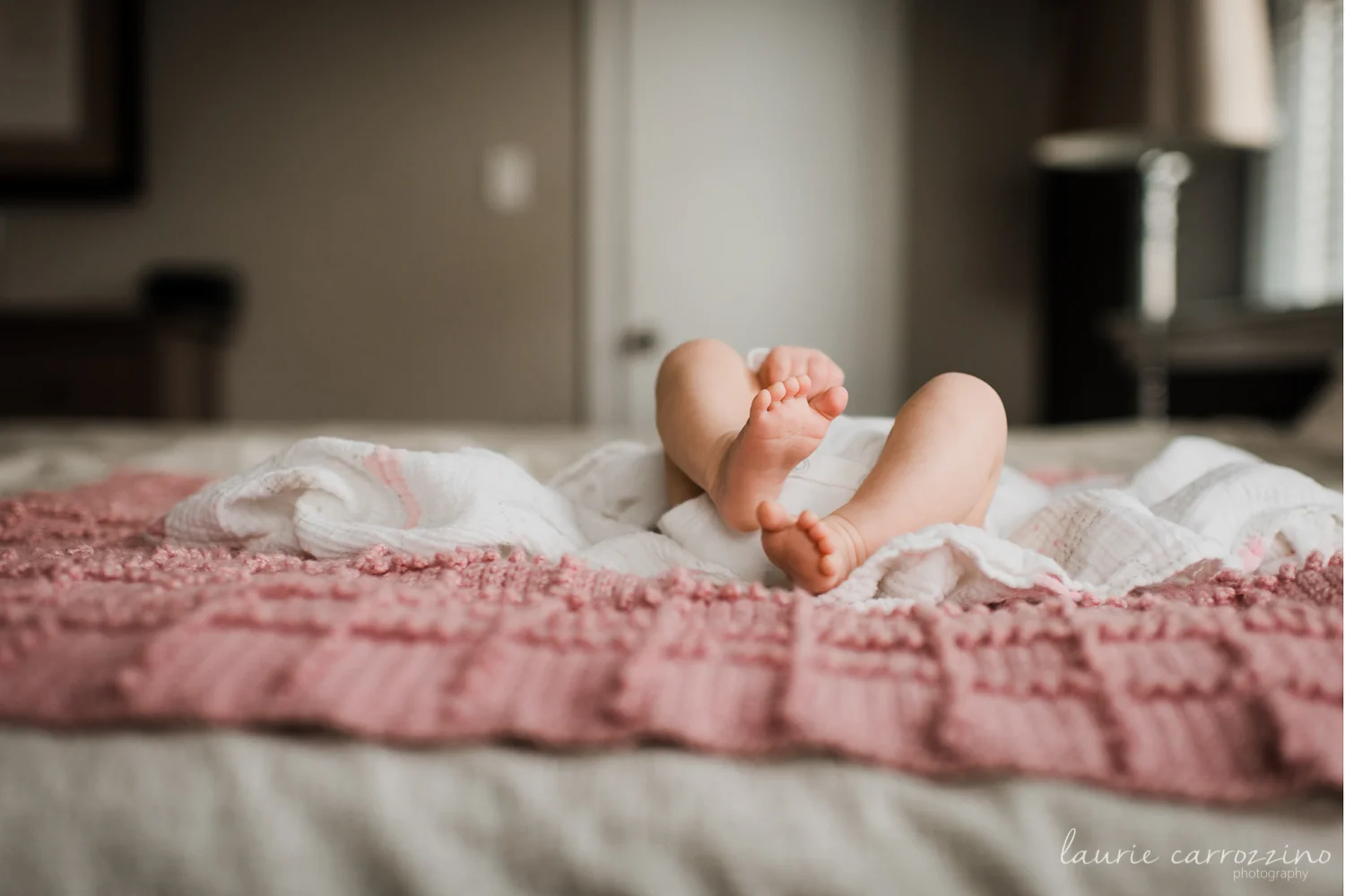 20170205_Newborn_17.jpg