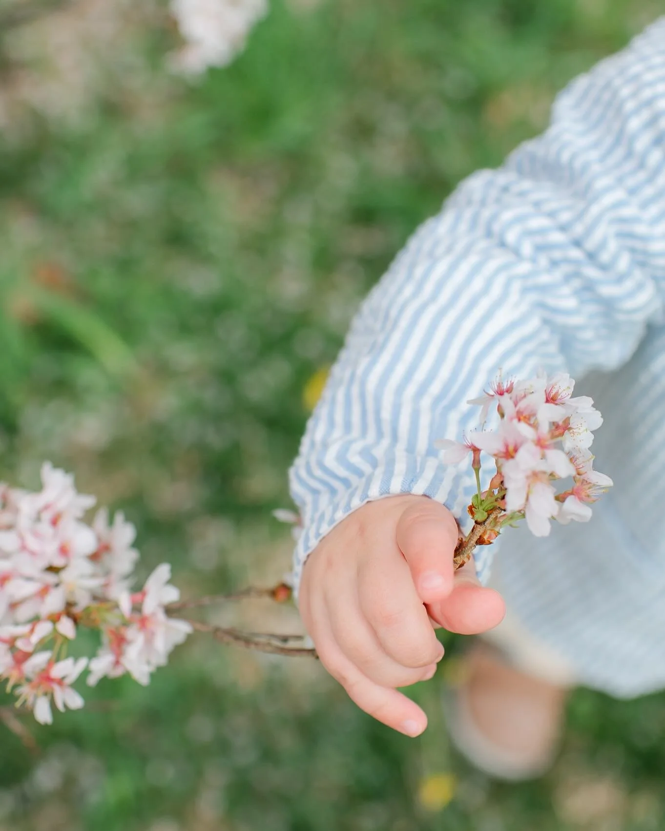 Capturing the little details is one of my favorite things about photography. I have a special Mother&rsquo;s Day mini session experience and it will be perfect for capturing little hands and detail shots. I&rsquo;ll be having a flower bouquet bar for