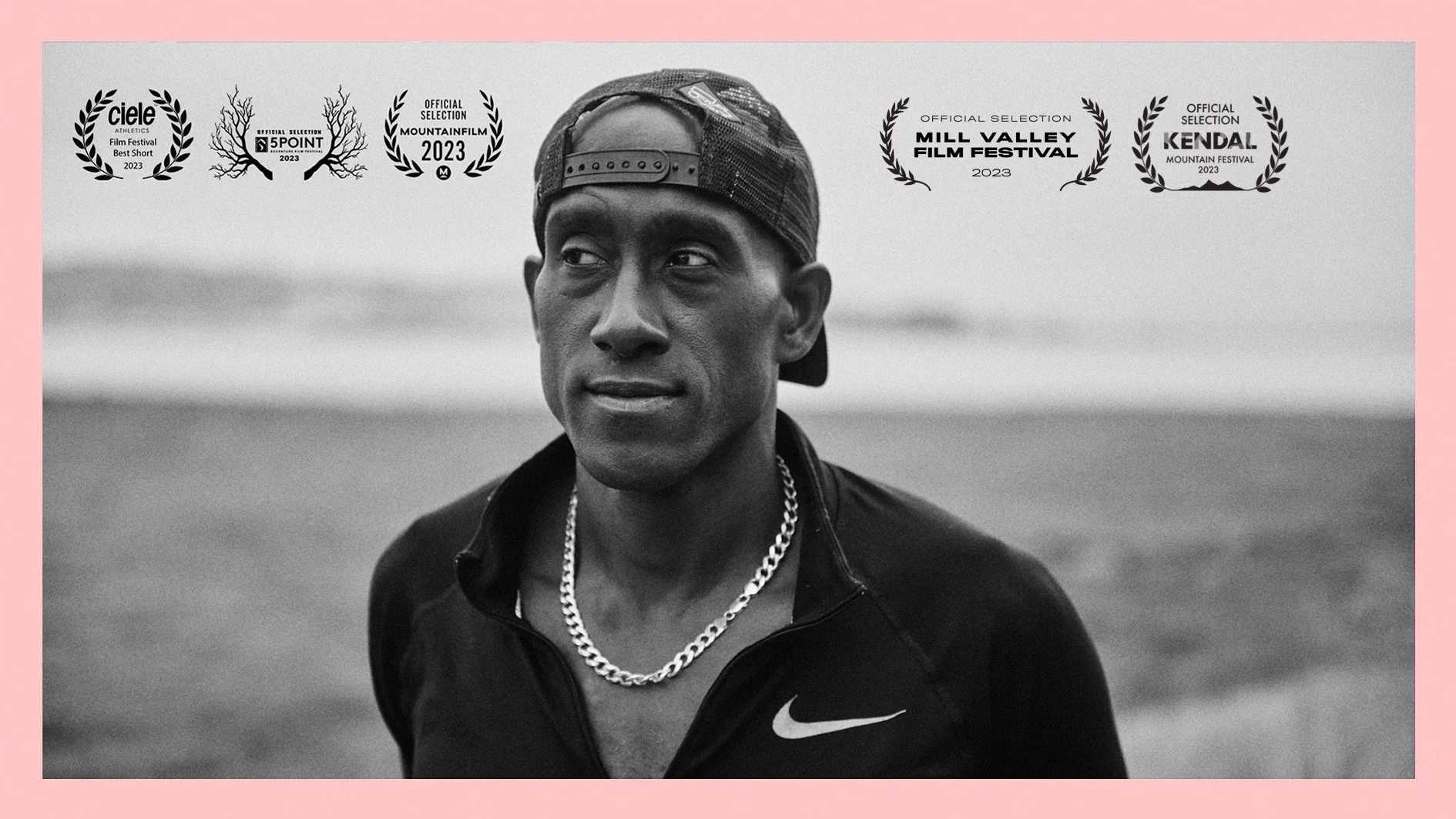 From the shadow pink.jpeg