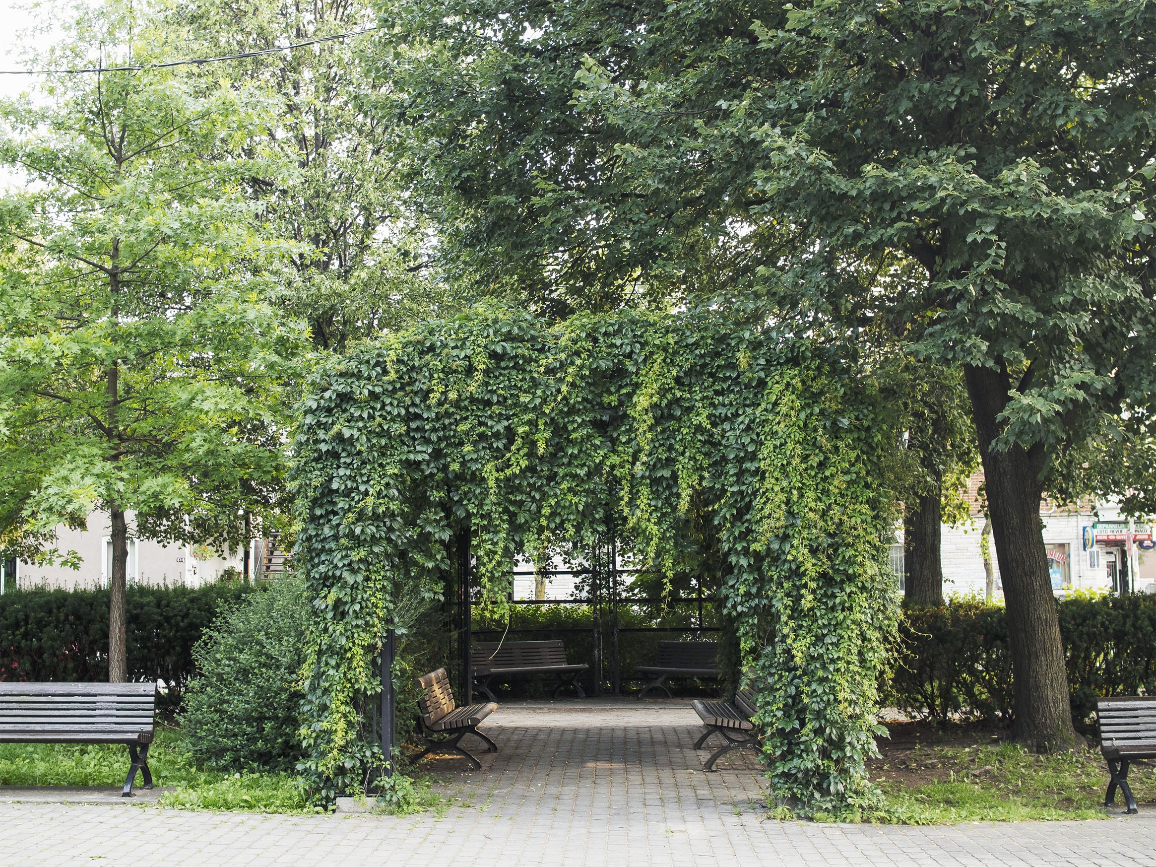 P7061178-1.jpg