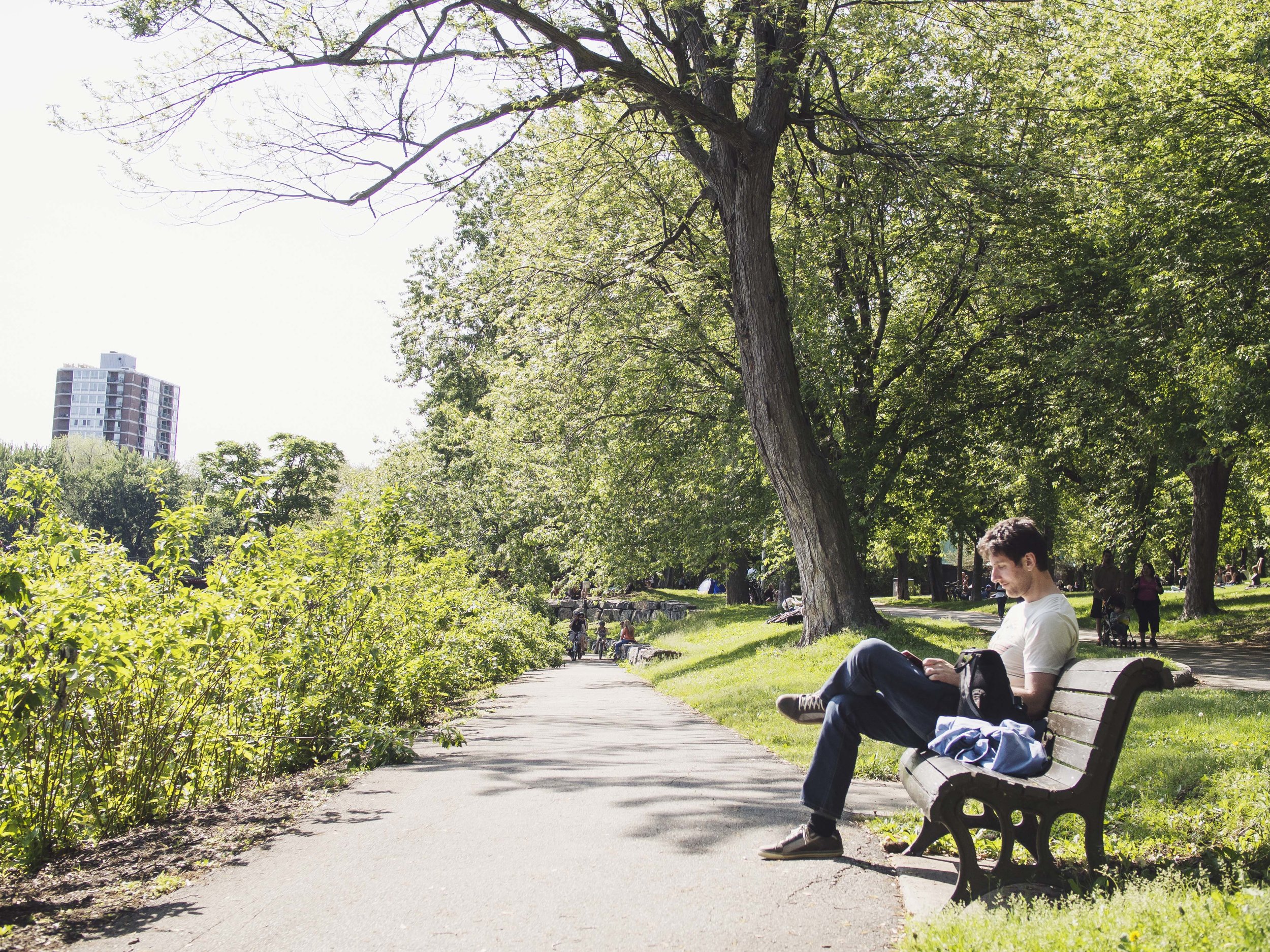 Parc La Fontaine