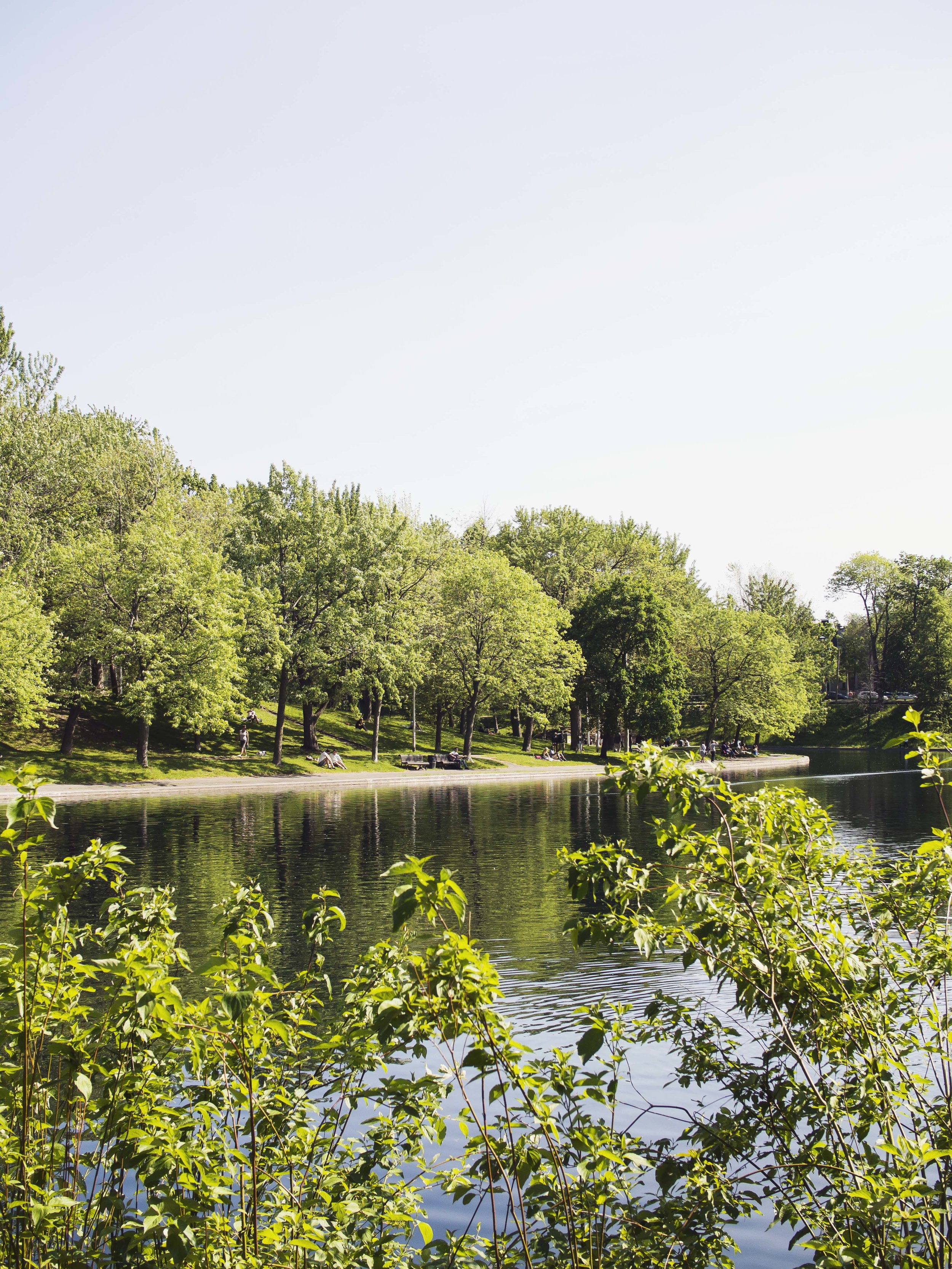 Parc La Fontaine