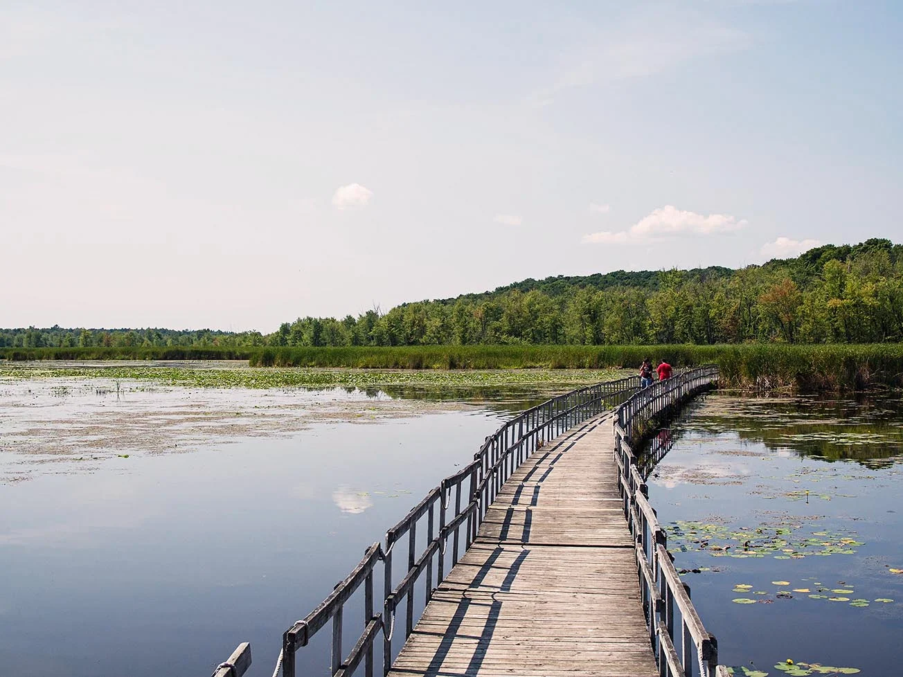 Parc national d'Oka