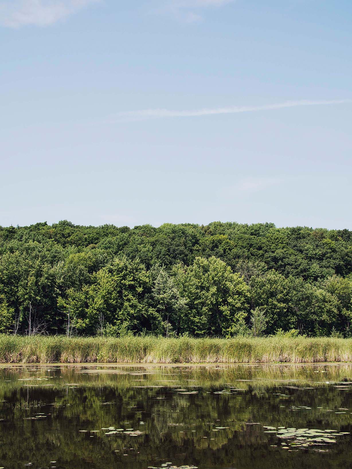 Parc national d'Oka