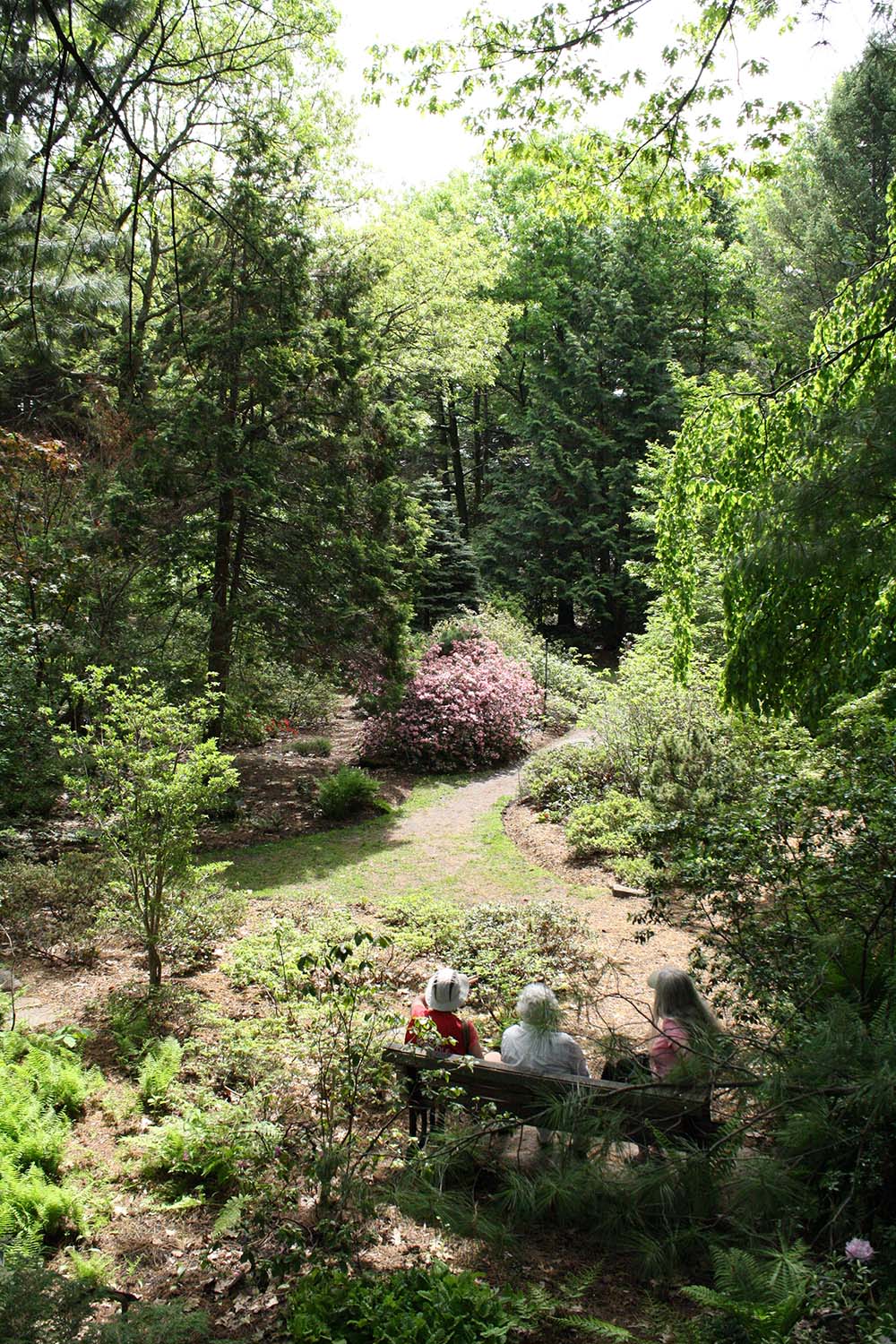 Jardin botanique