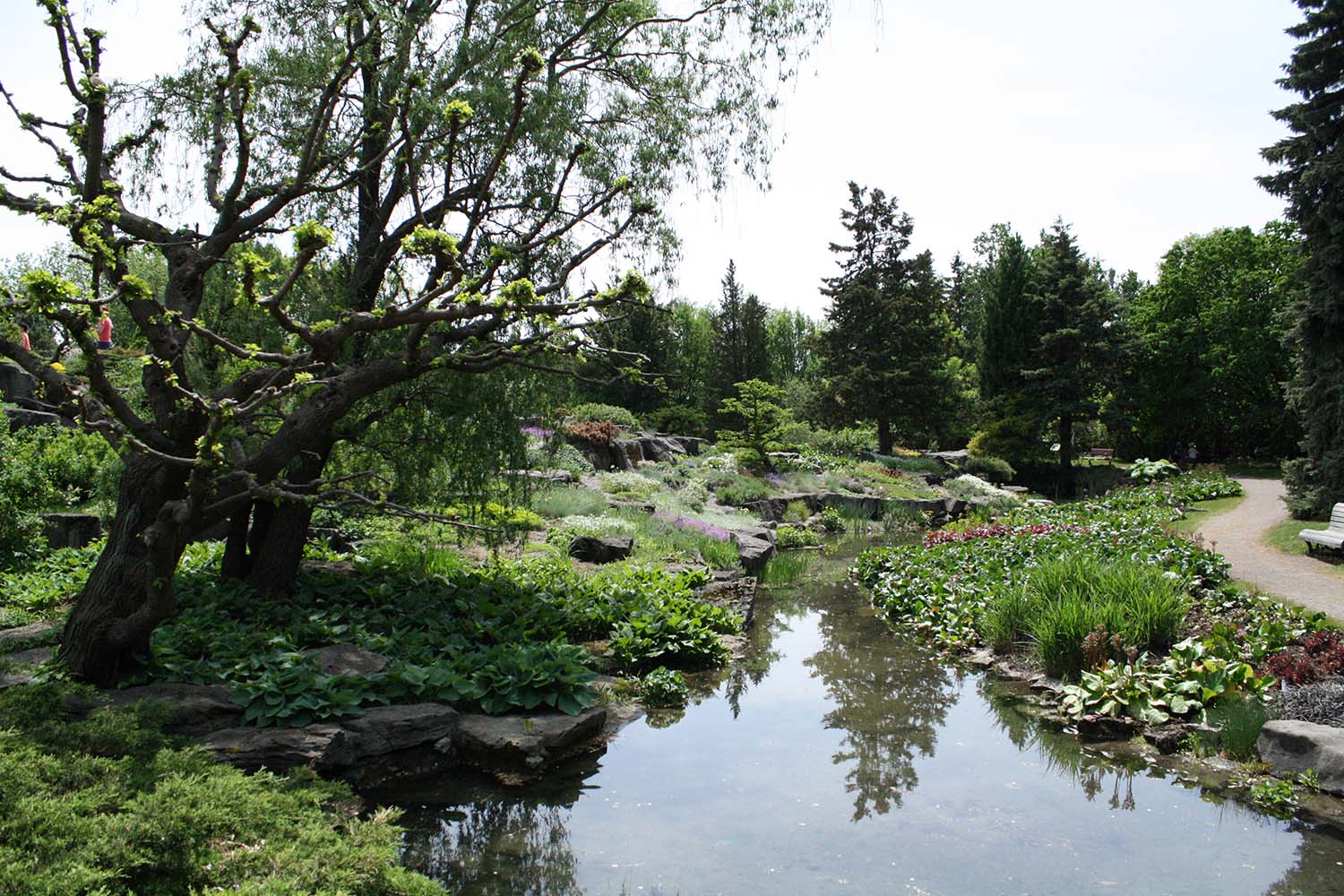 Jardin botanique