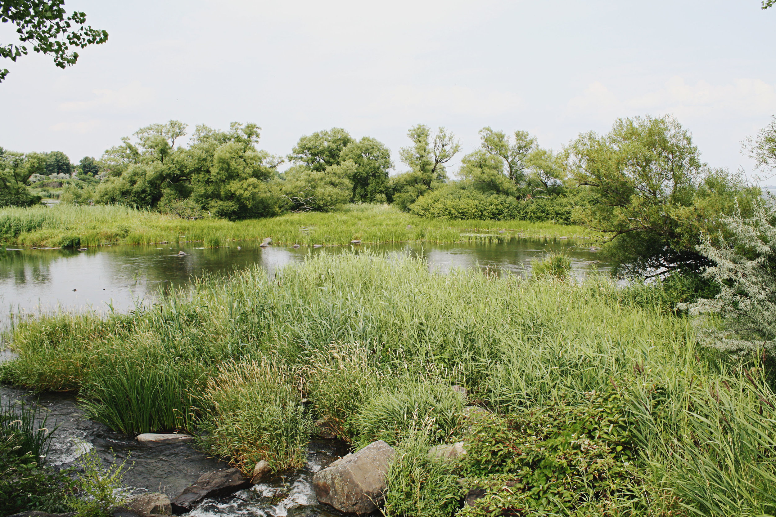 Piste des Berges (Parc des Rapides)