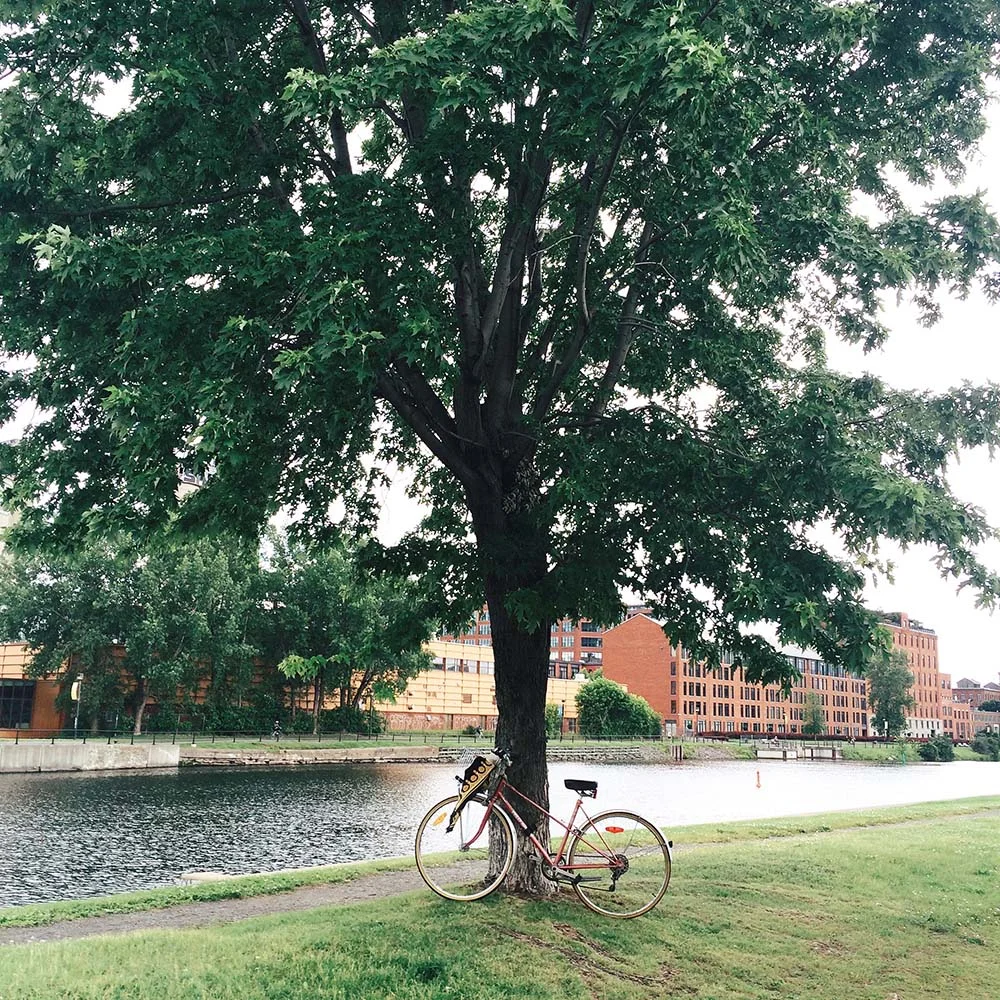 Canal de Lachine