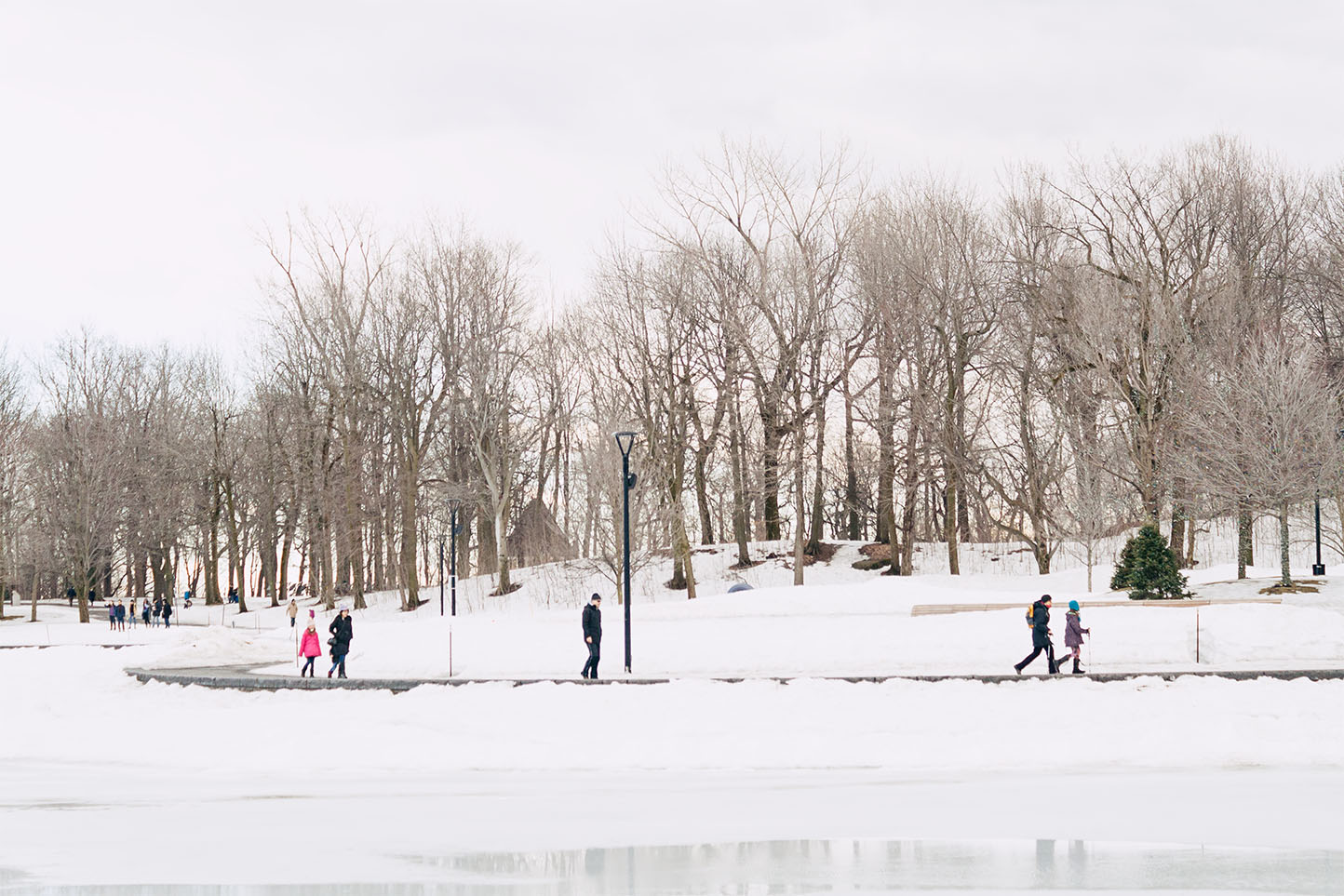 Parc du Mont-Royal