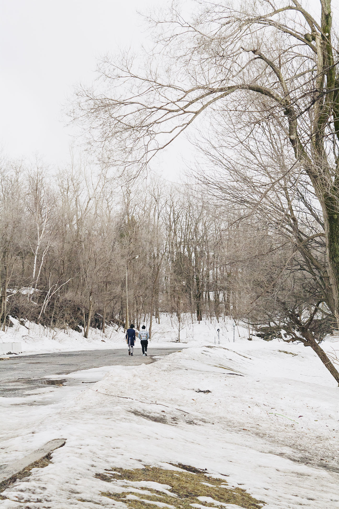 Parc du Mont-Royal