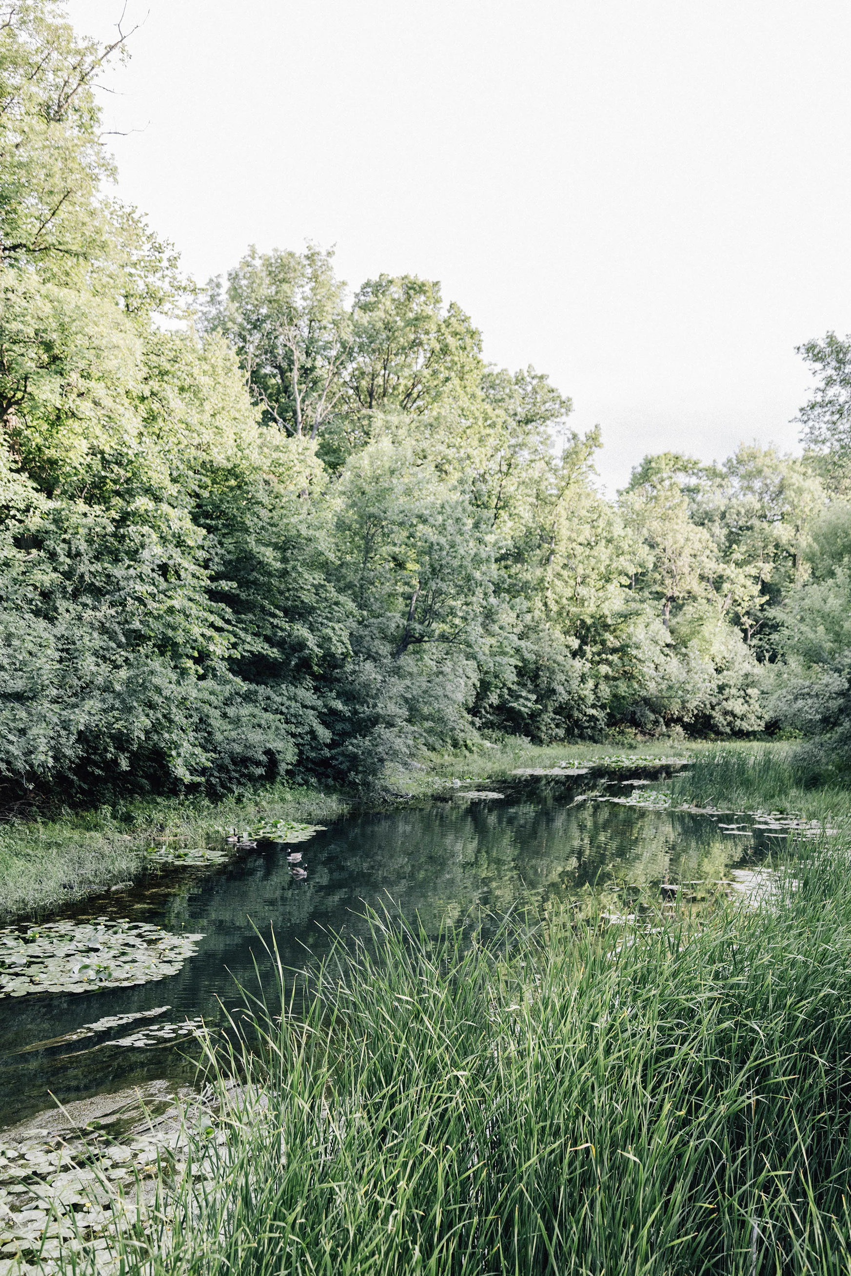 Parc-nature du Bois-de-Liesse